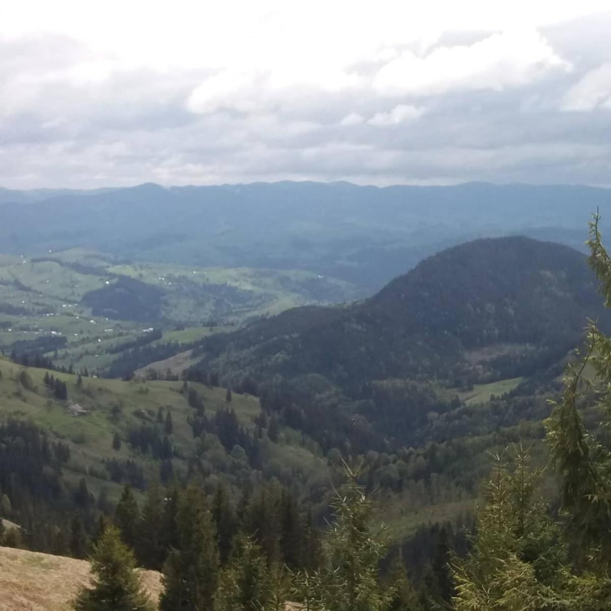 Photo 45
