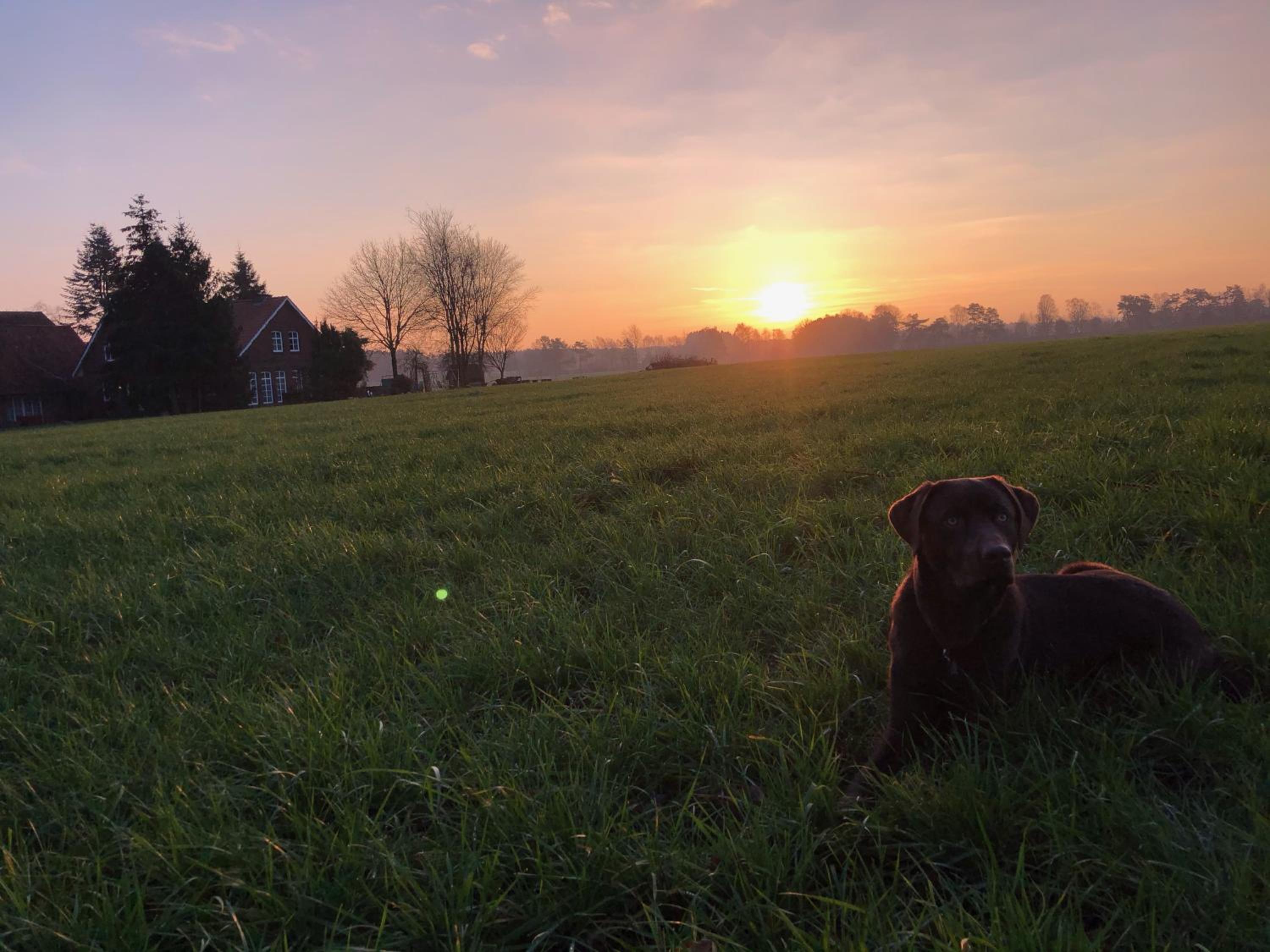 Bauernhofurlaub bei Familie Bokeloh