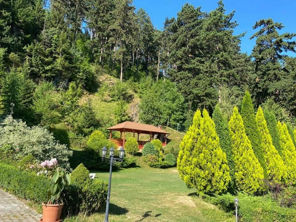 BellaVista Brasov