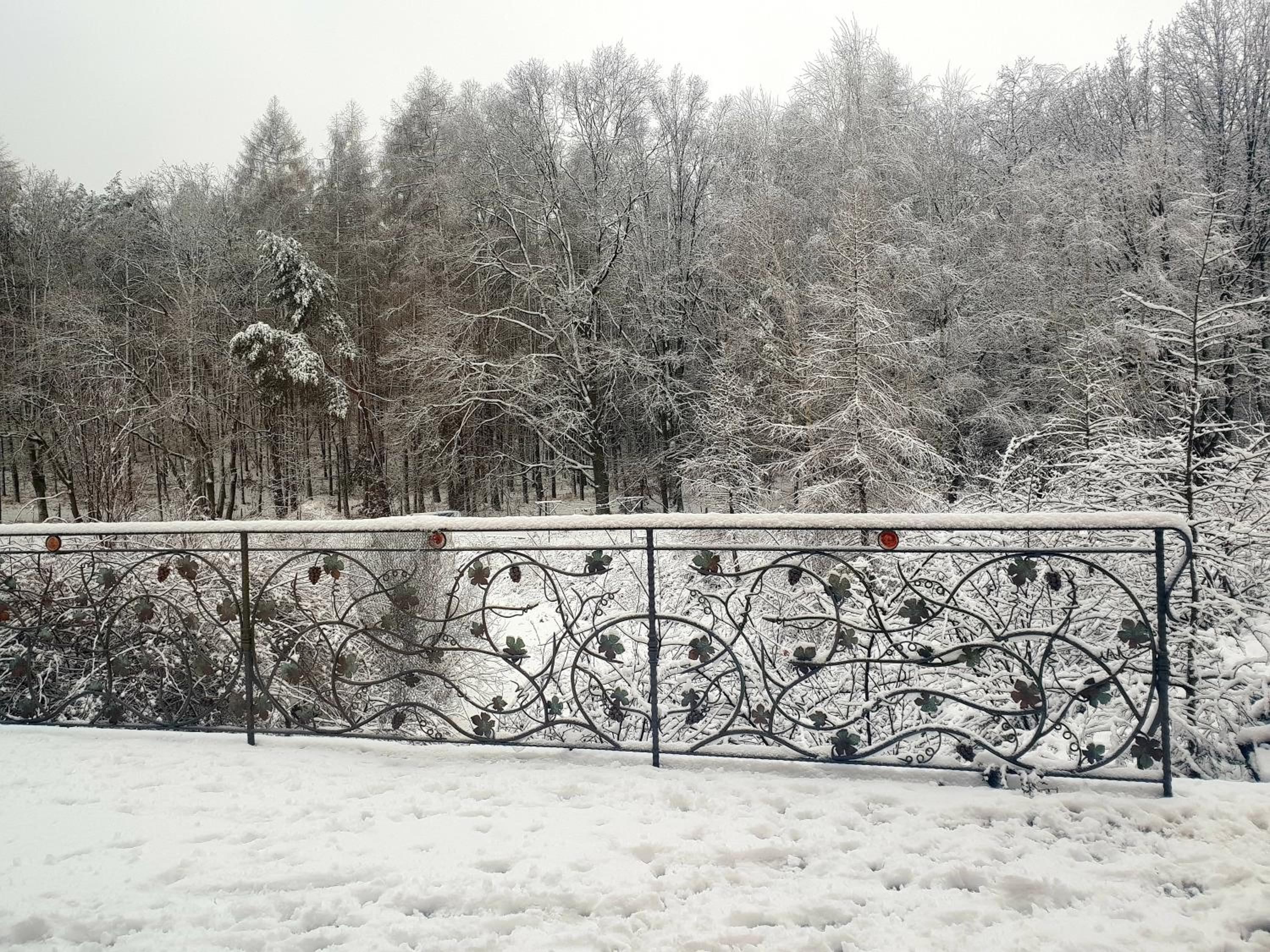 Winnica Dębogóra