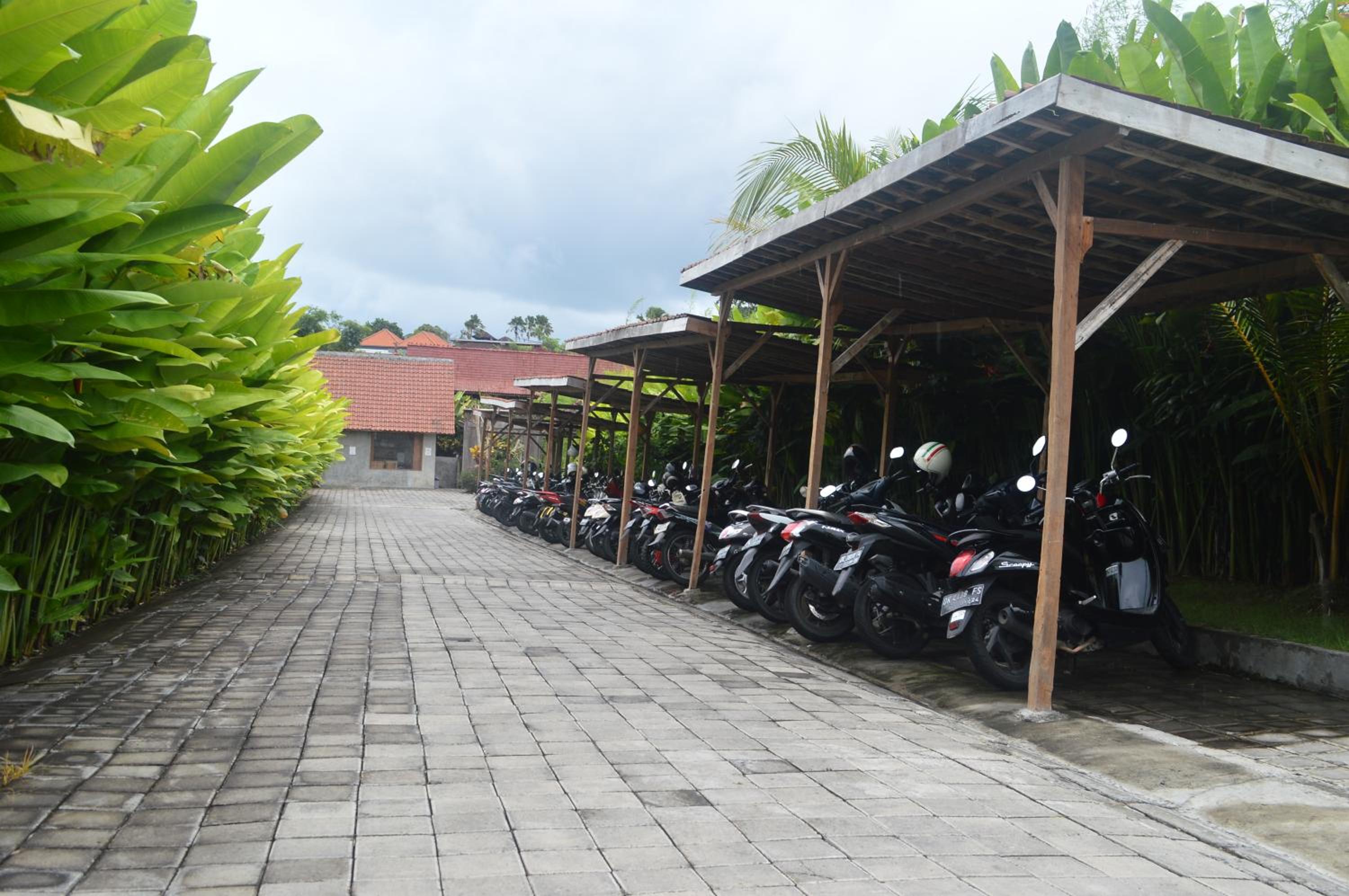 Photo 45