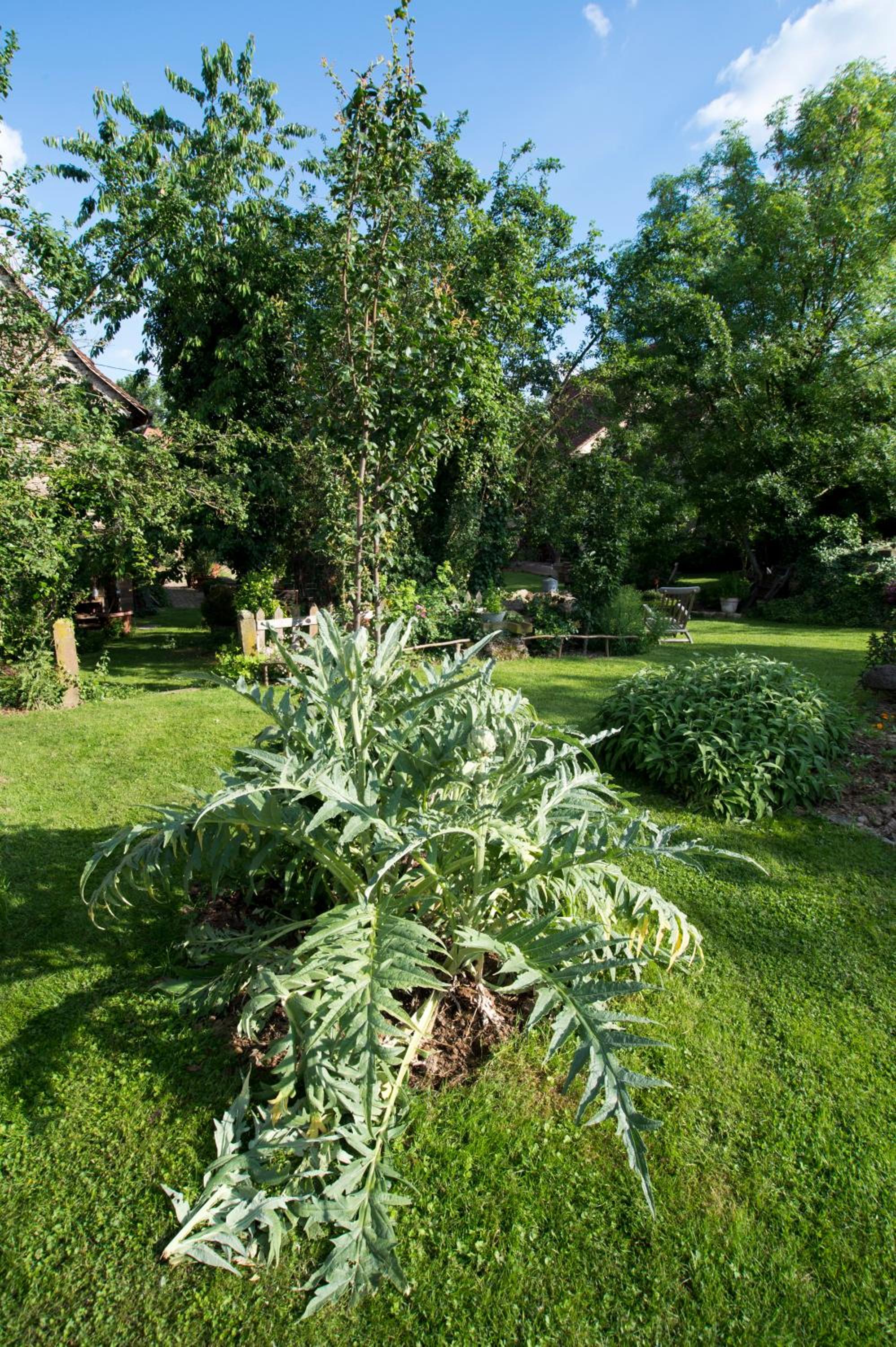 Photo 25