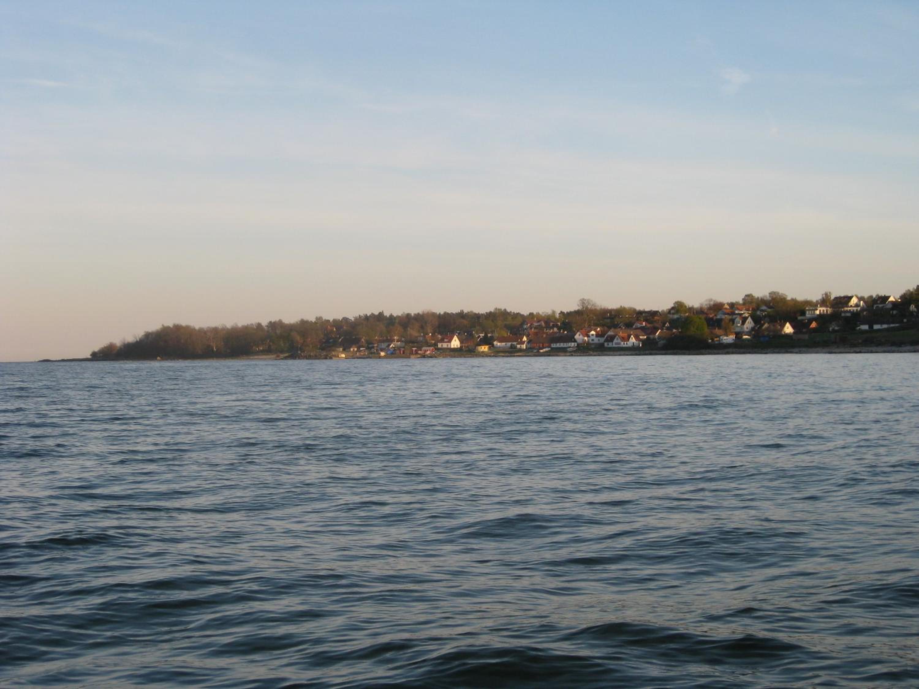 Photo 45
