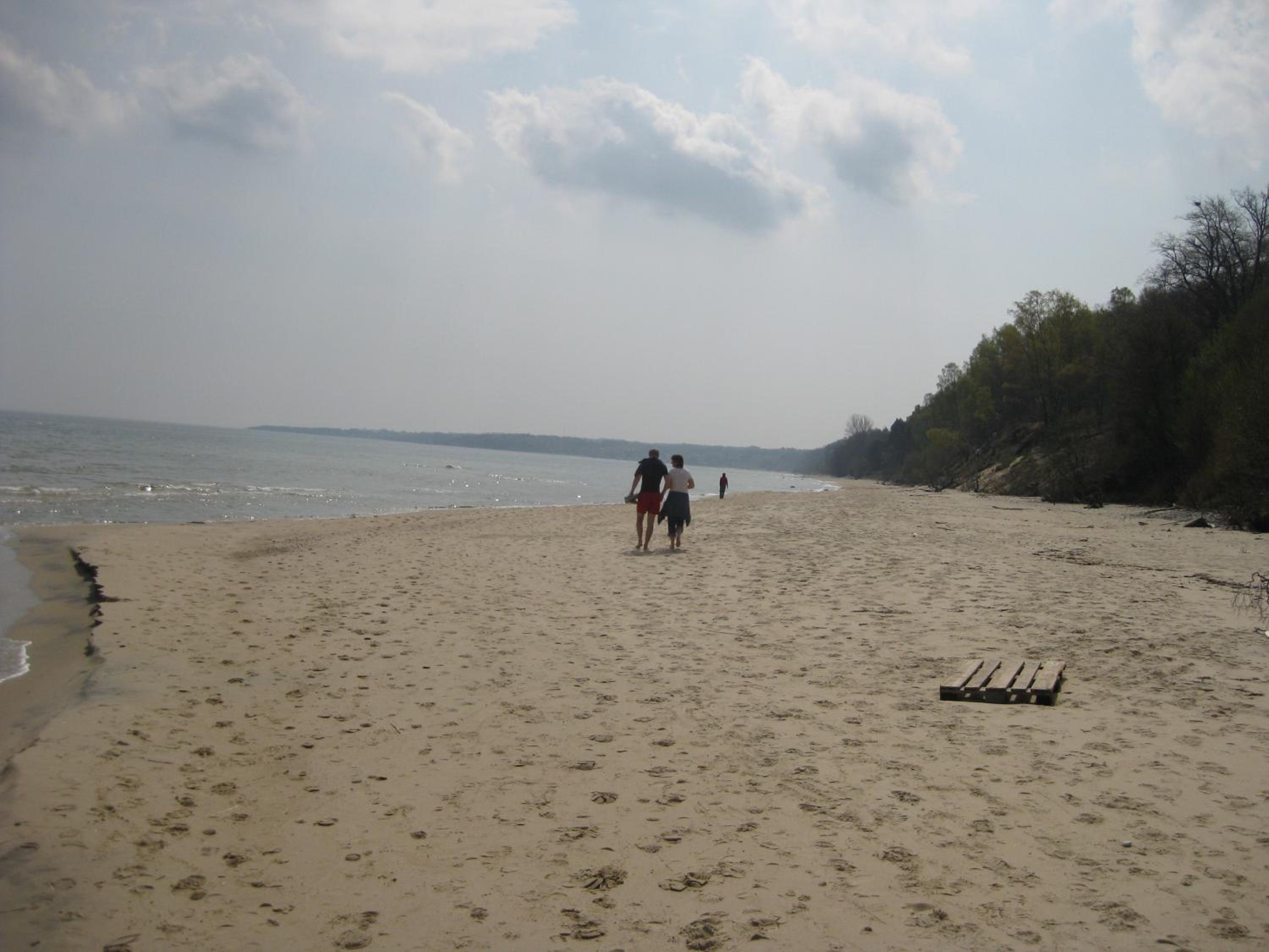 Photo 47