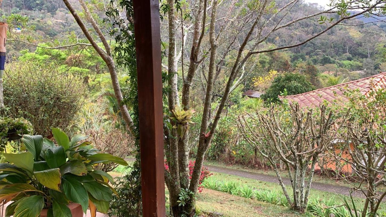 Vale das Estrelas - vale das videiras - araras