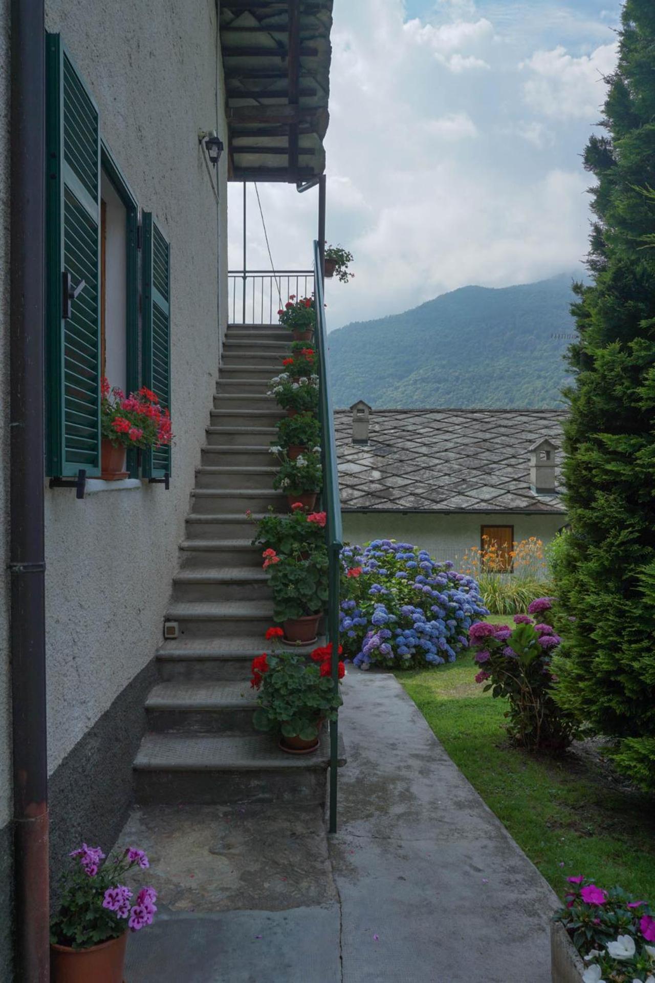 Photo 38