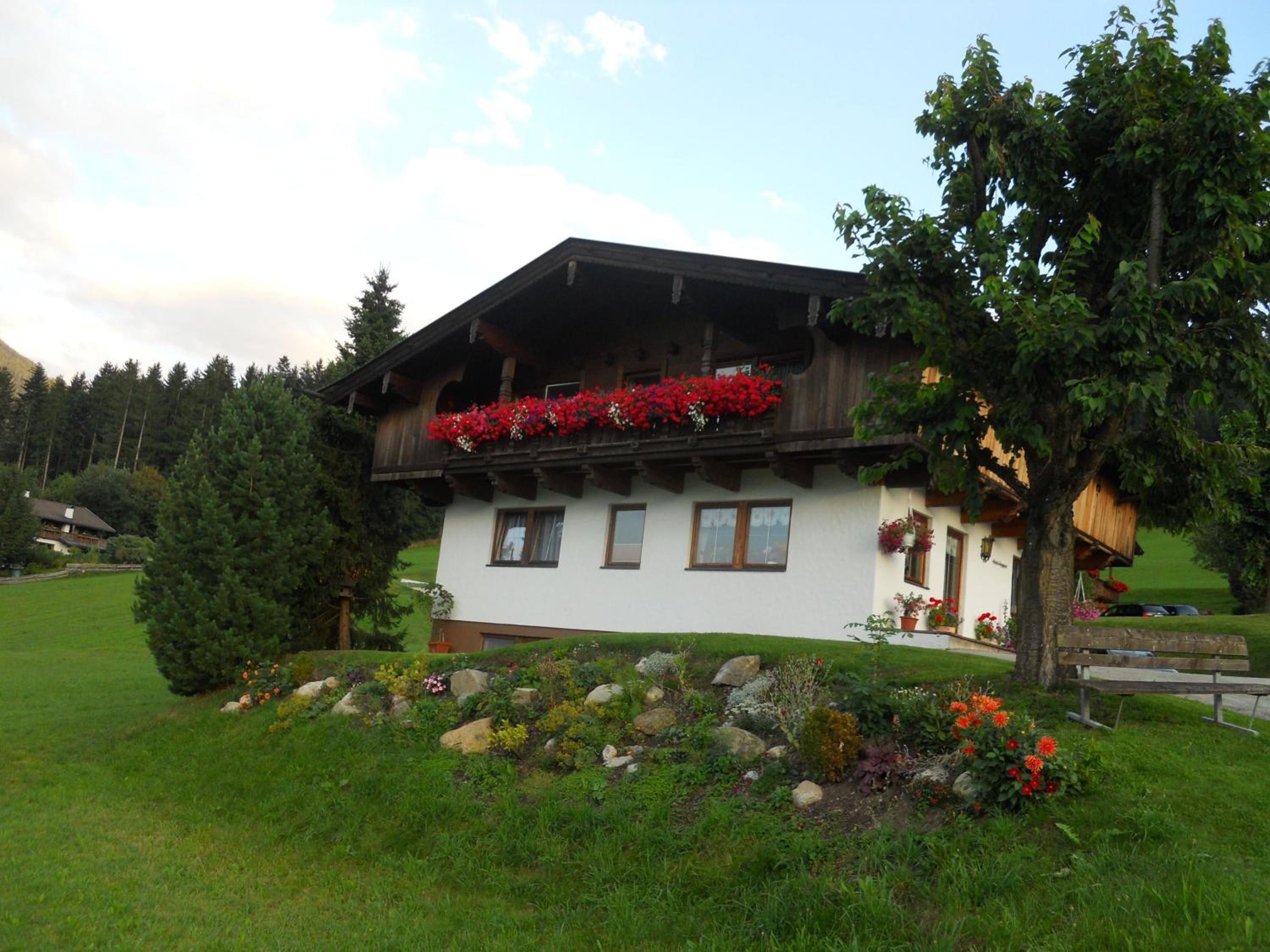 Photo 23