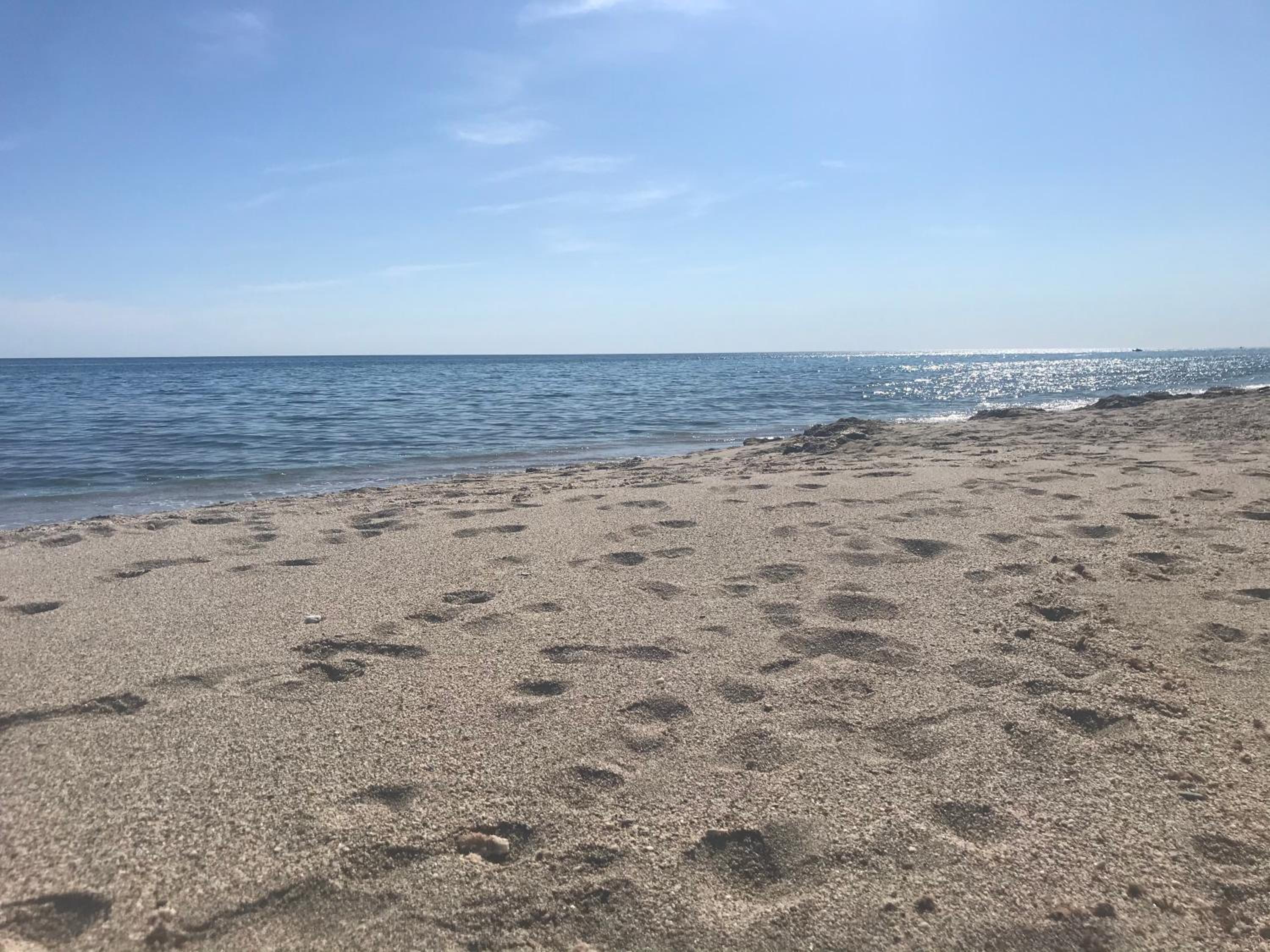 Palacio De La Marina photo 4