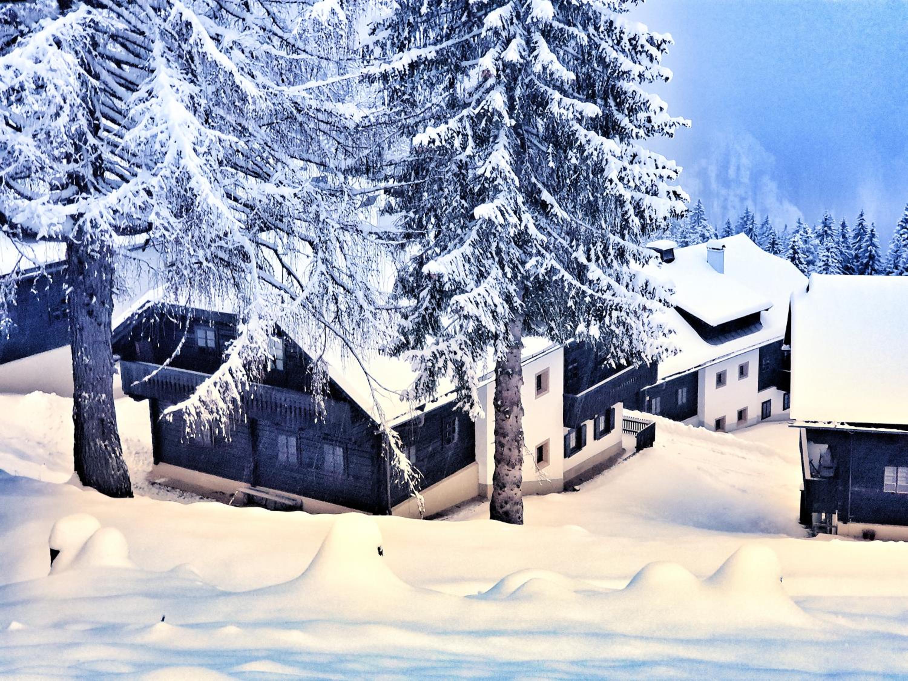 das Bergerleben view 5