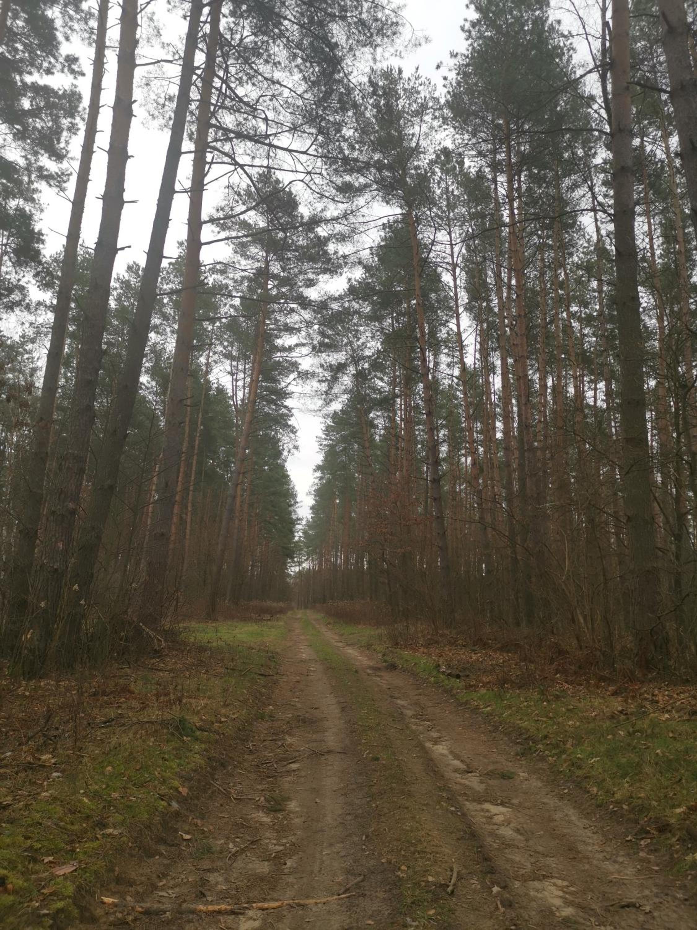 Photo 37