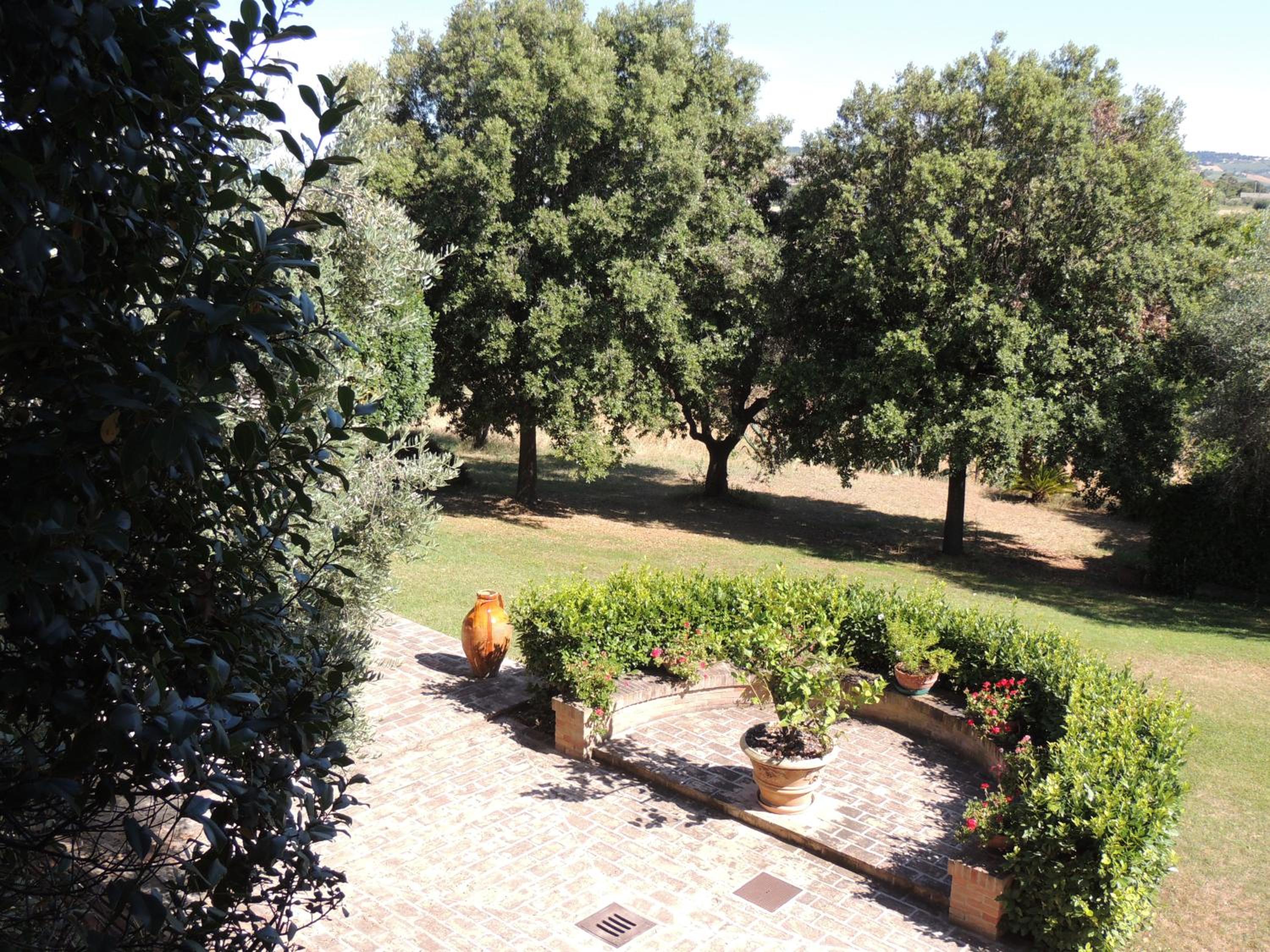 Photo 21