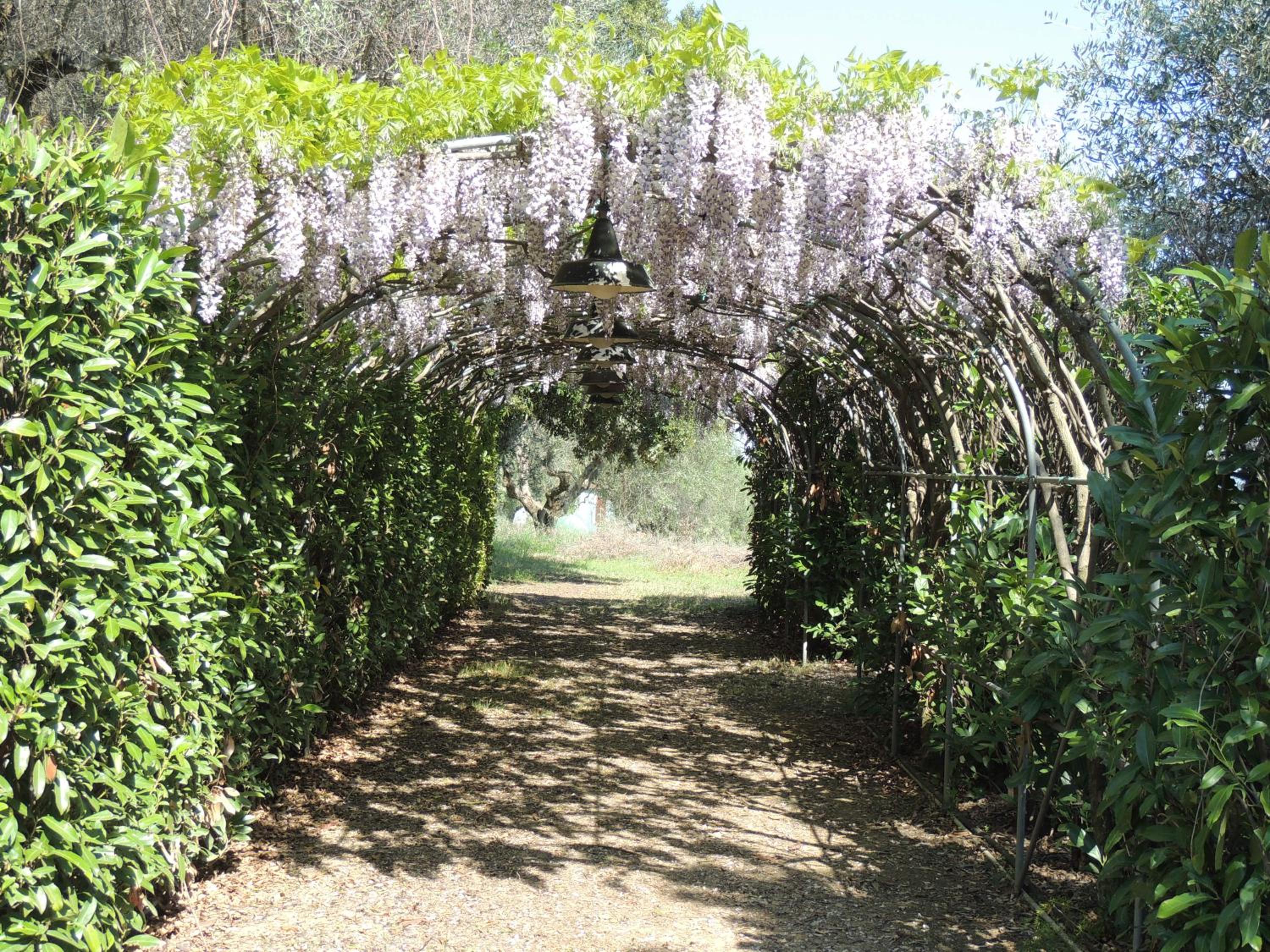 Photo 41