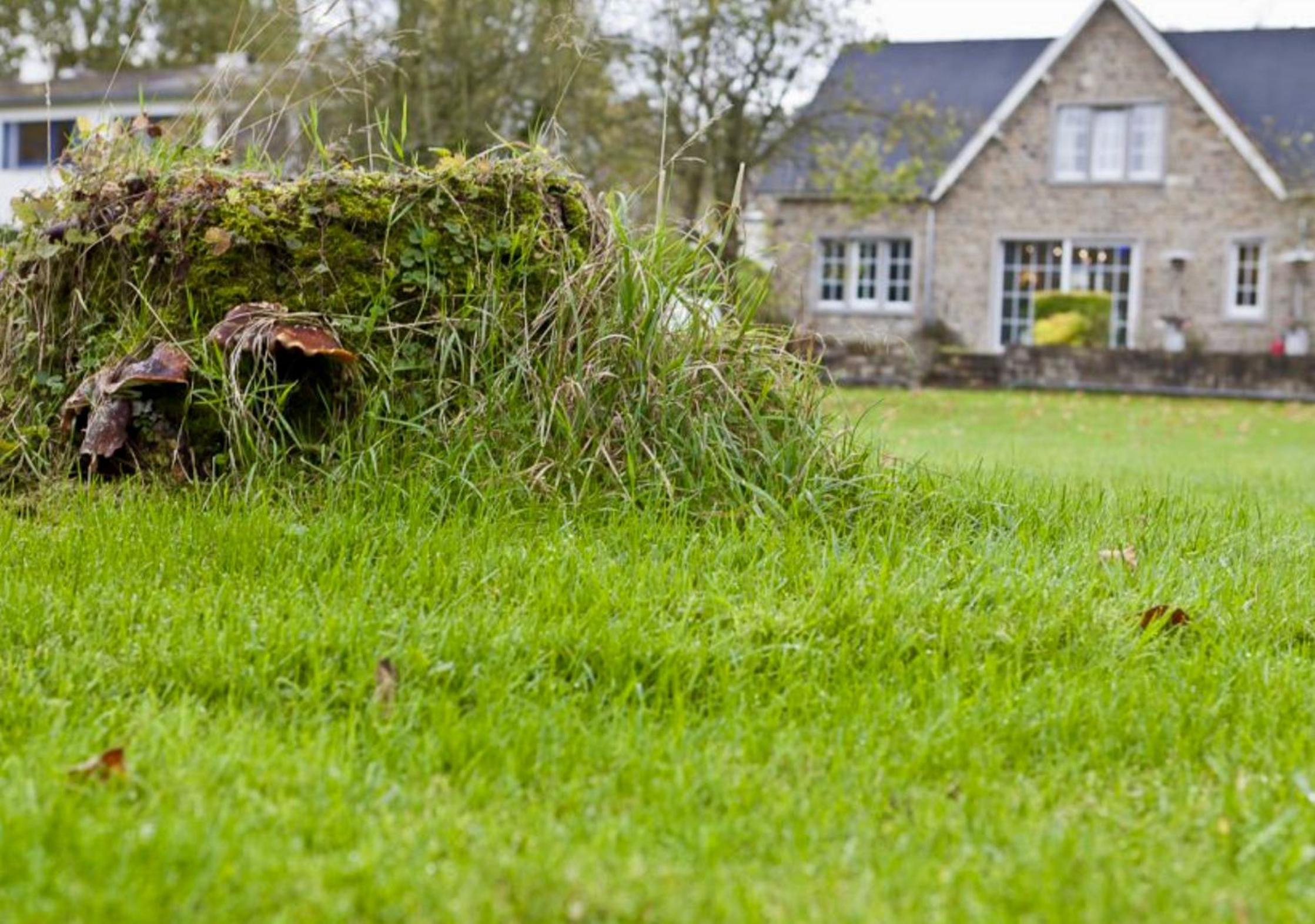 Le Rimamir gîte de charme au bord de l’Amblève