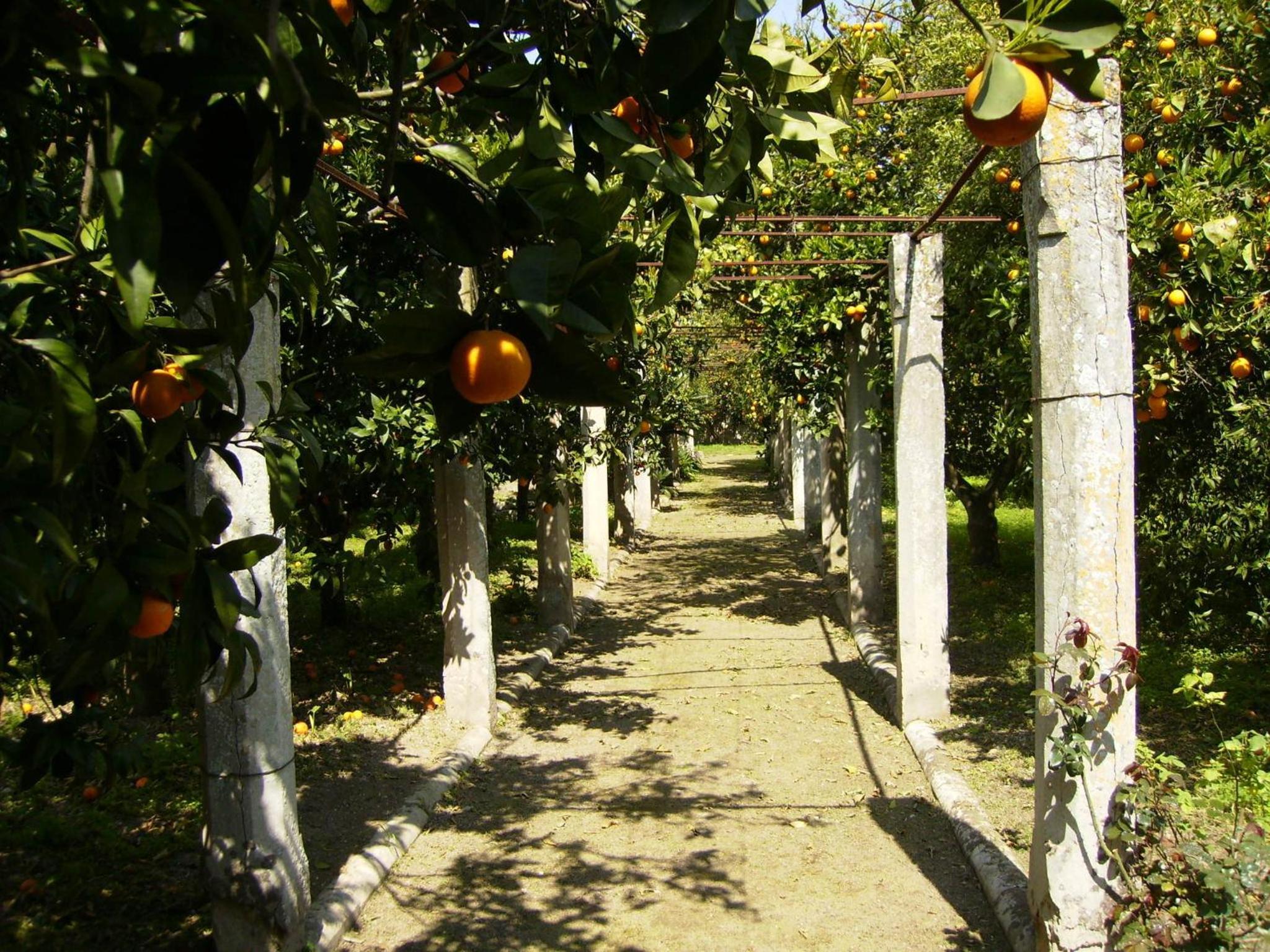 B&B Antico Aranceto