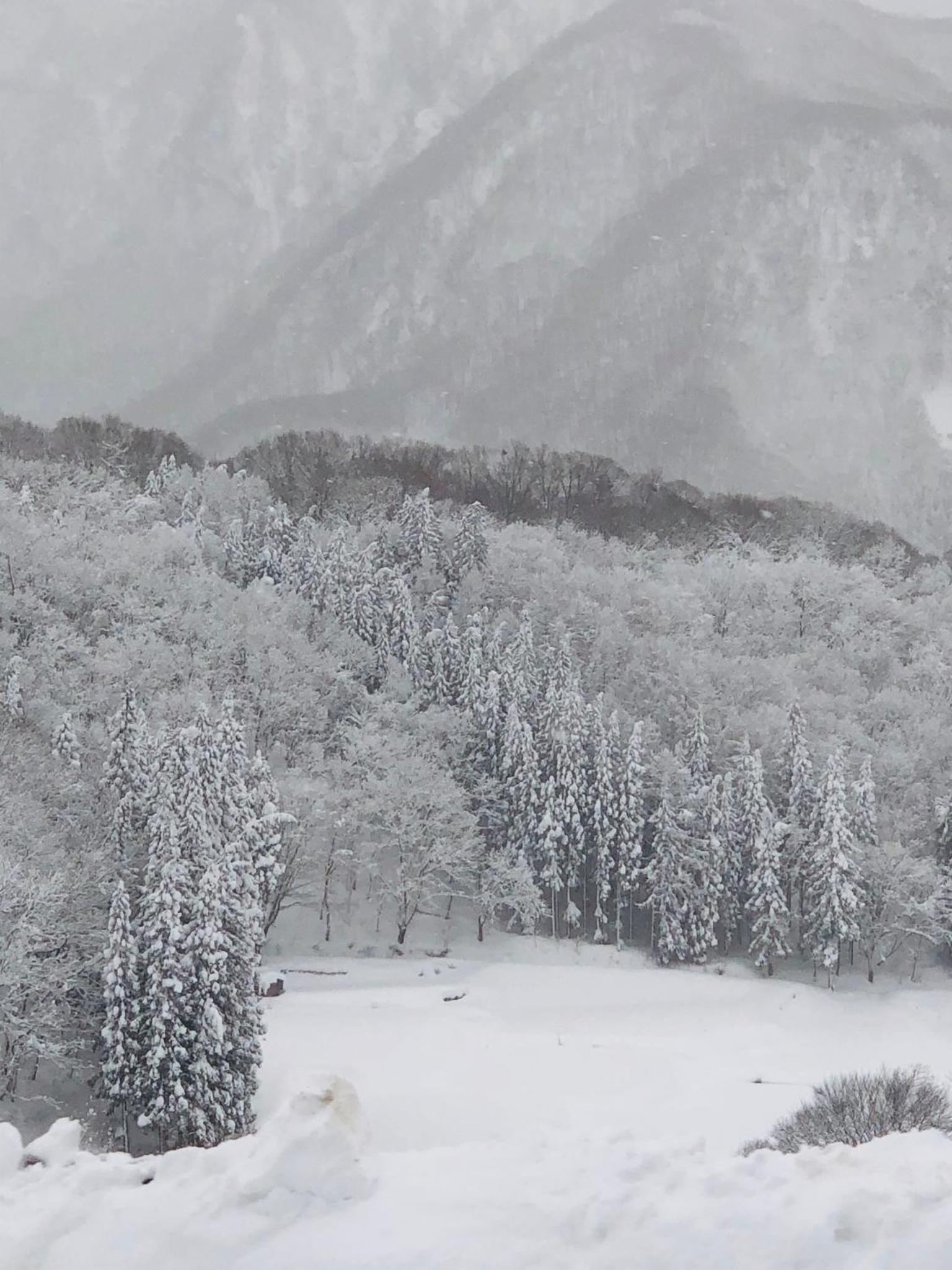 The Guest House Japan Hakuba