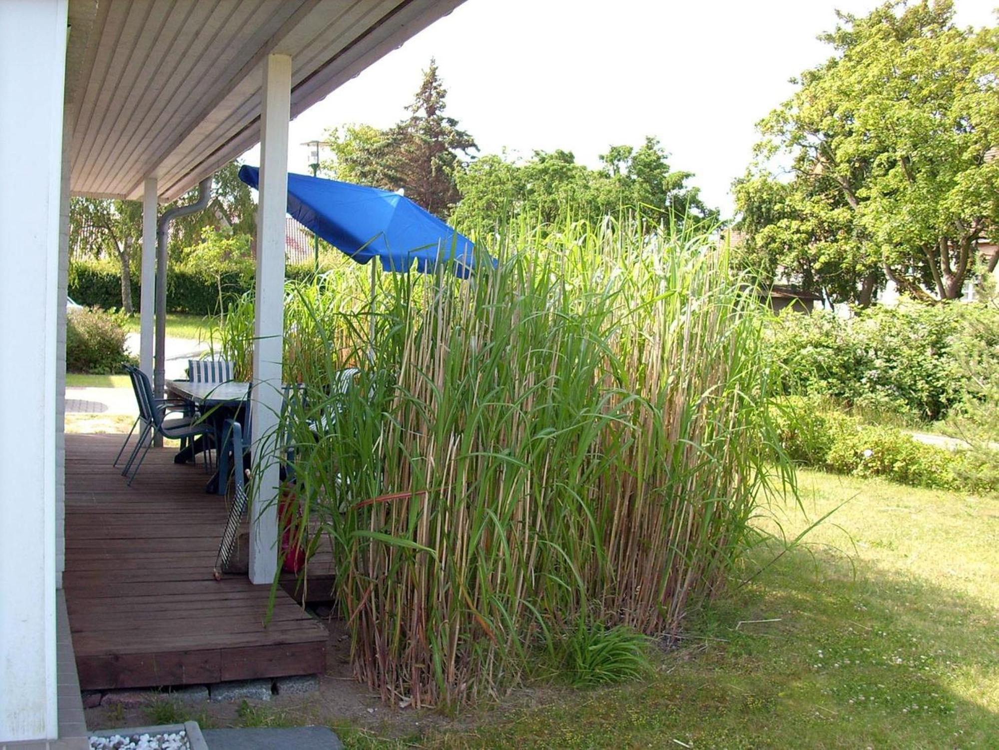 Ferienhaus Kaltenhofer Strandmuschel