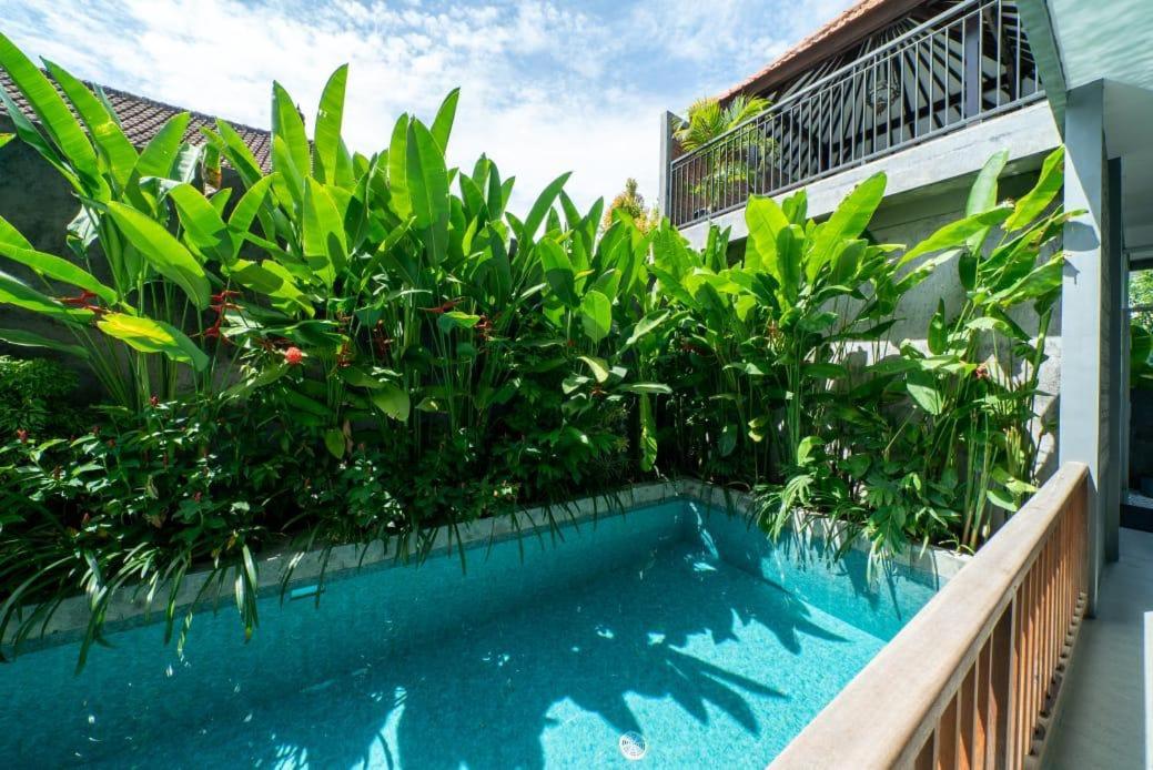 EUFORIA Guest House view 3