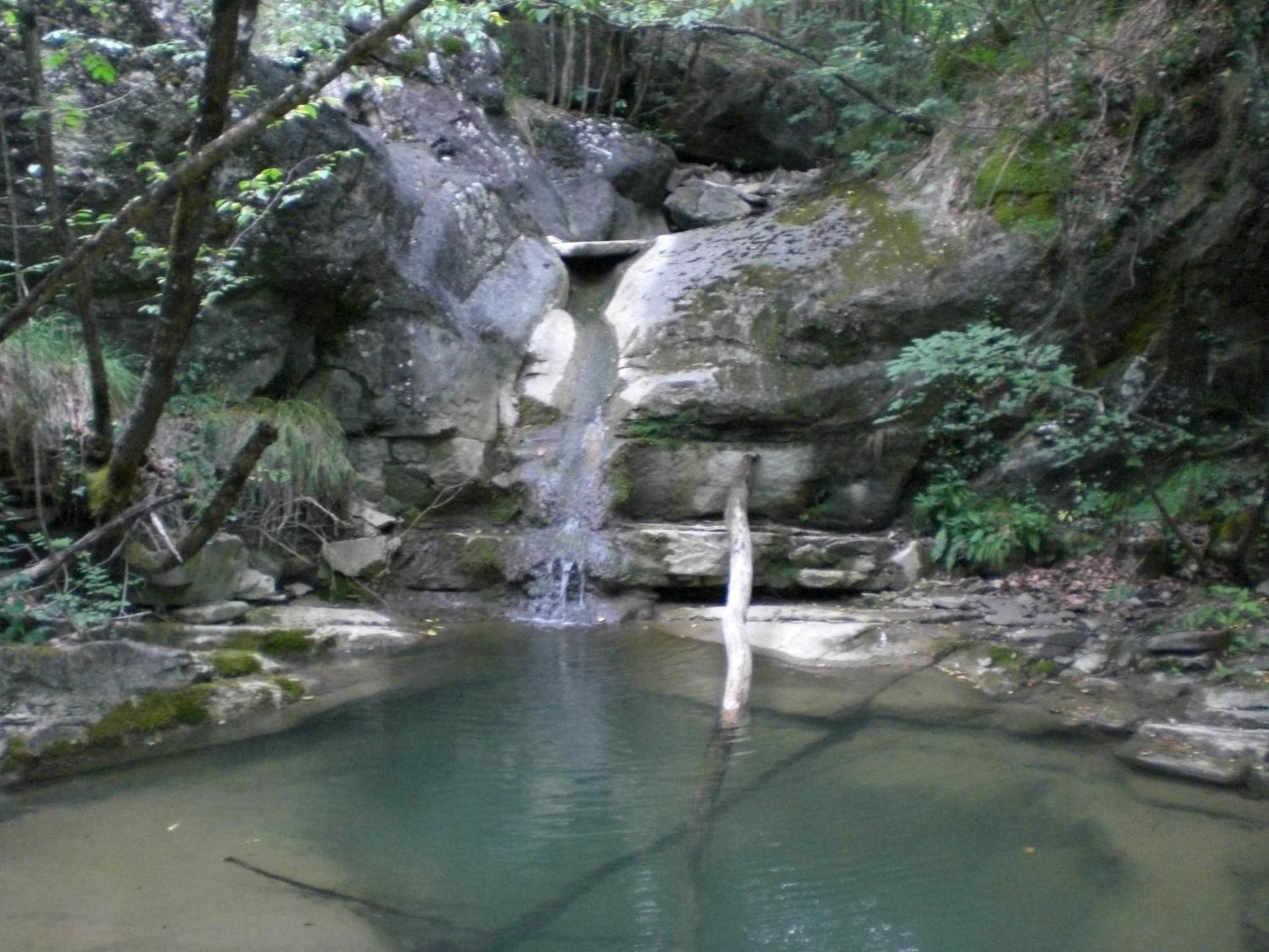 Photo 47
