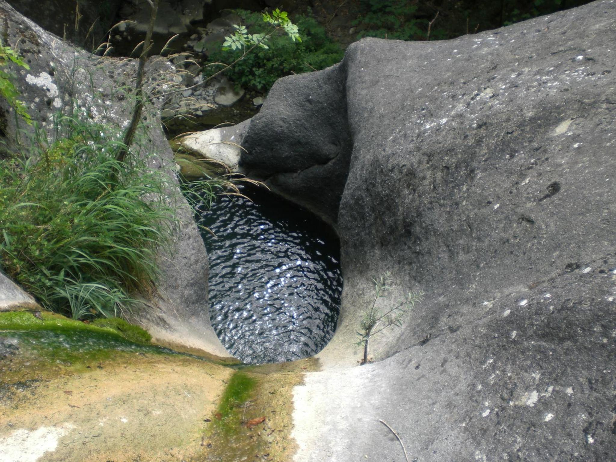 Photo 46