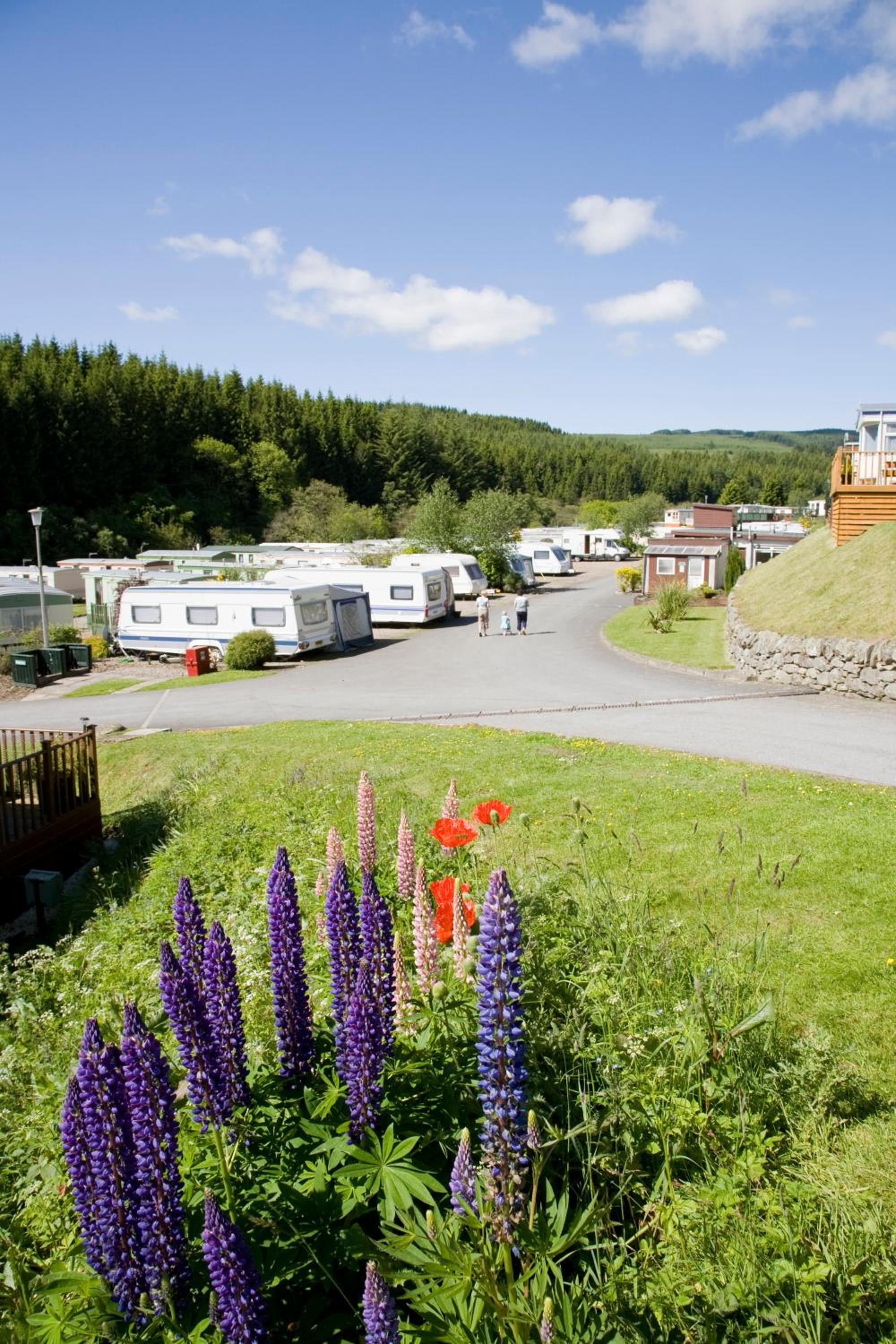 Corriefodly Holiday Park