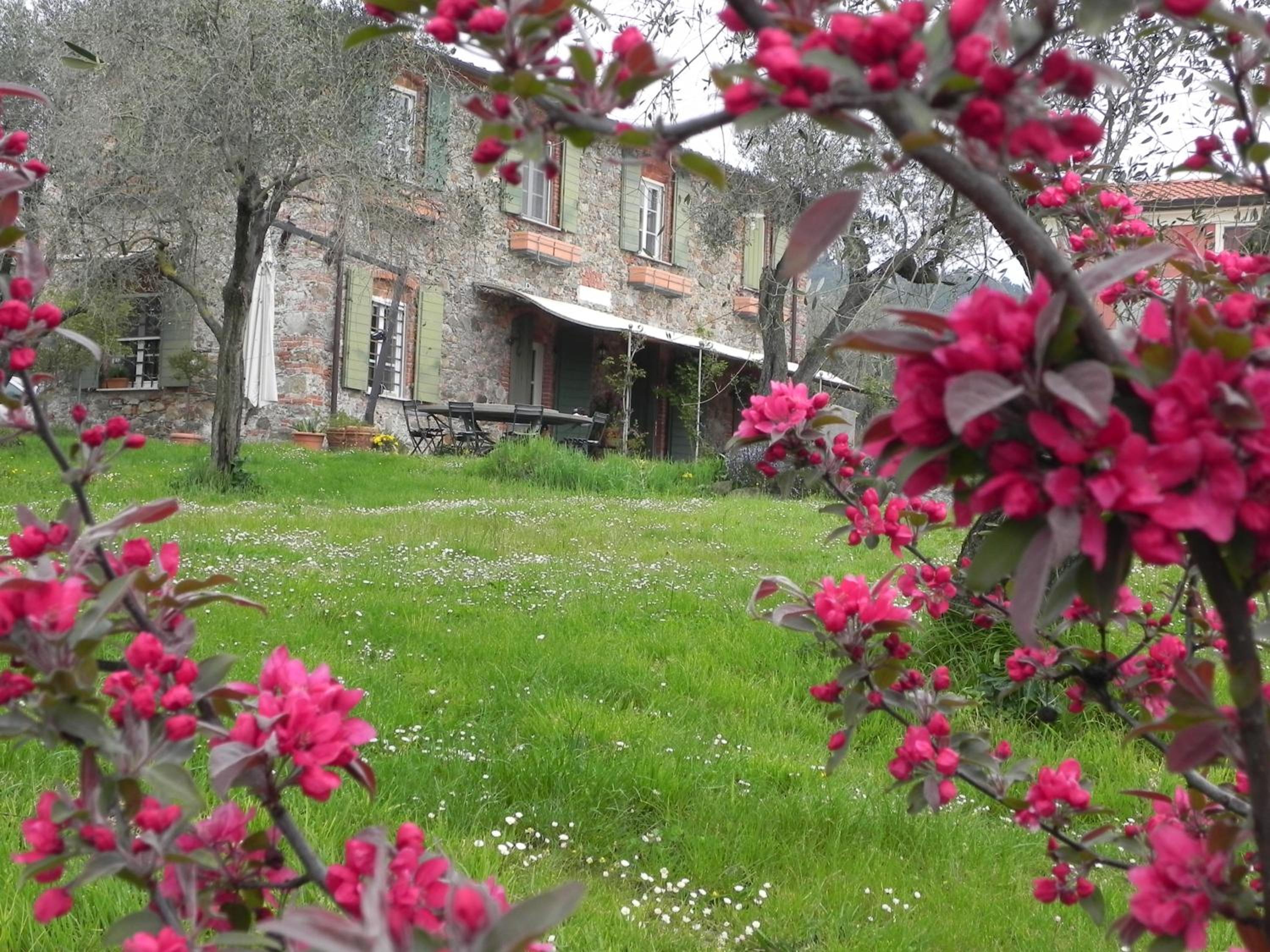 Il Giardino delle Esperidi