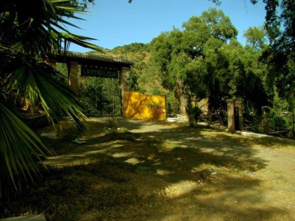 Photo 25
