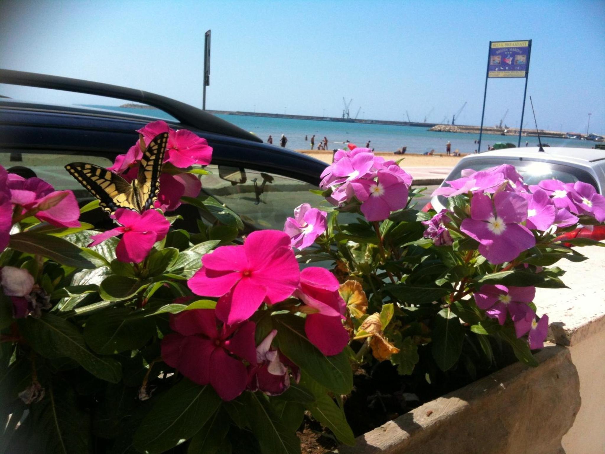 Terrazze Sul Mare