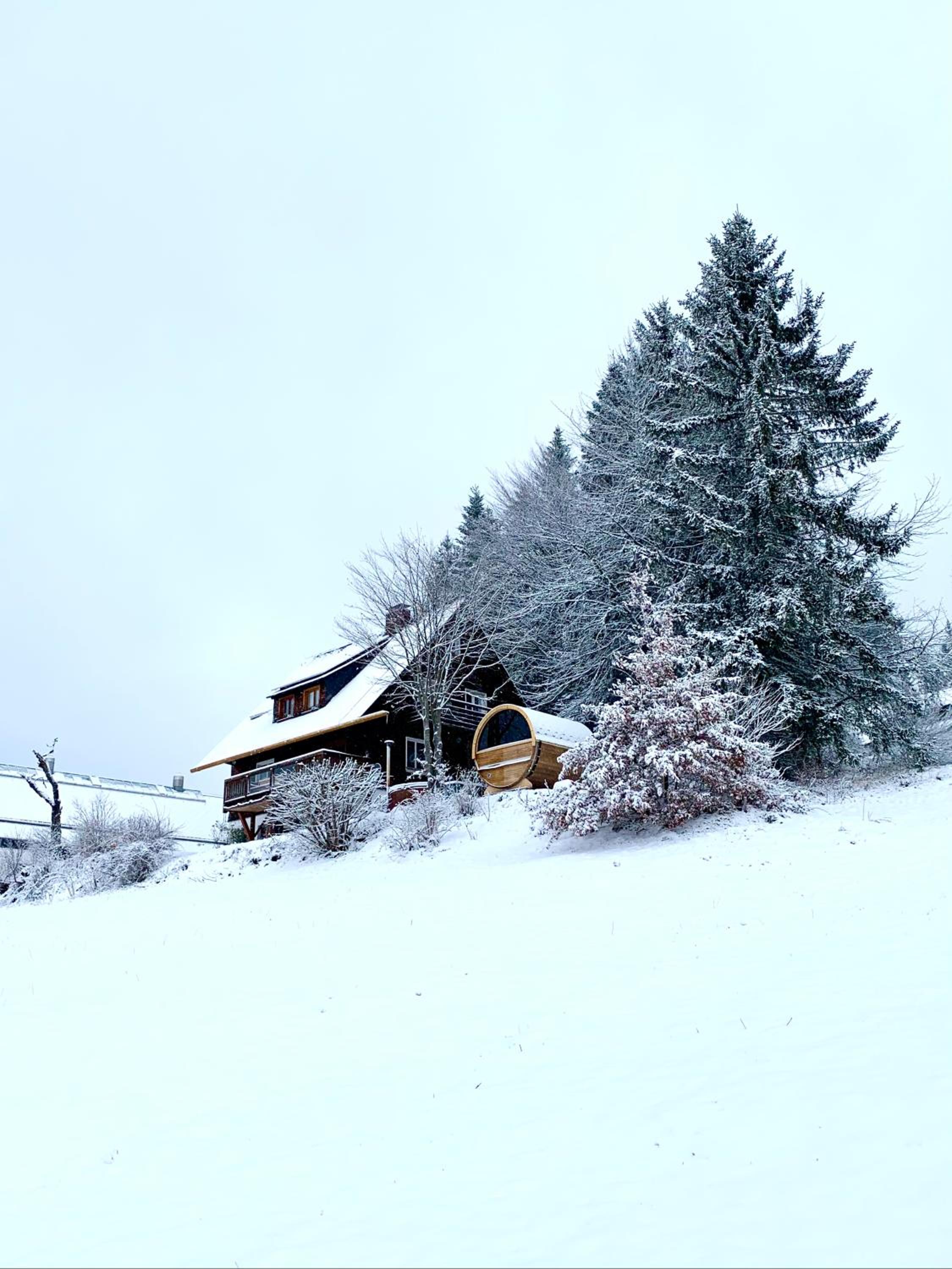 Ferienhaus 