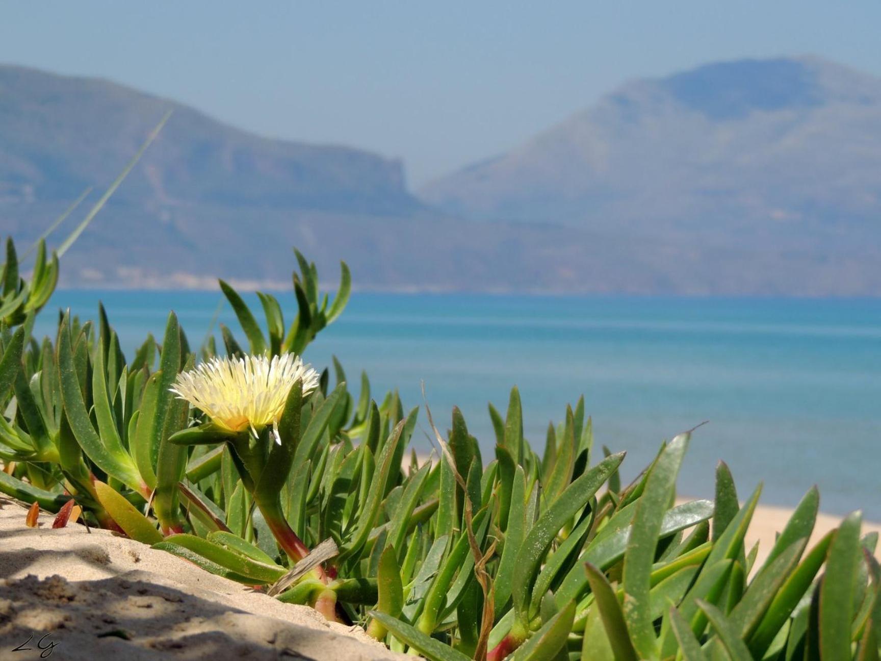 Tonnara Apartments view 5