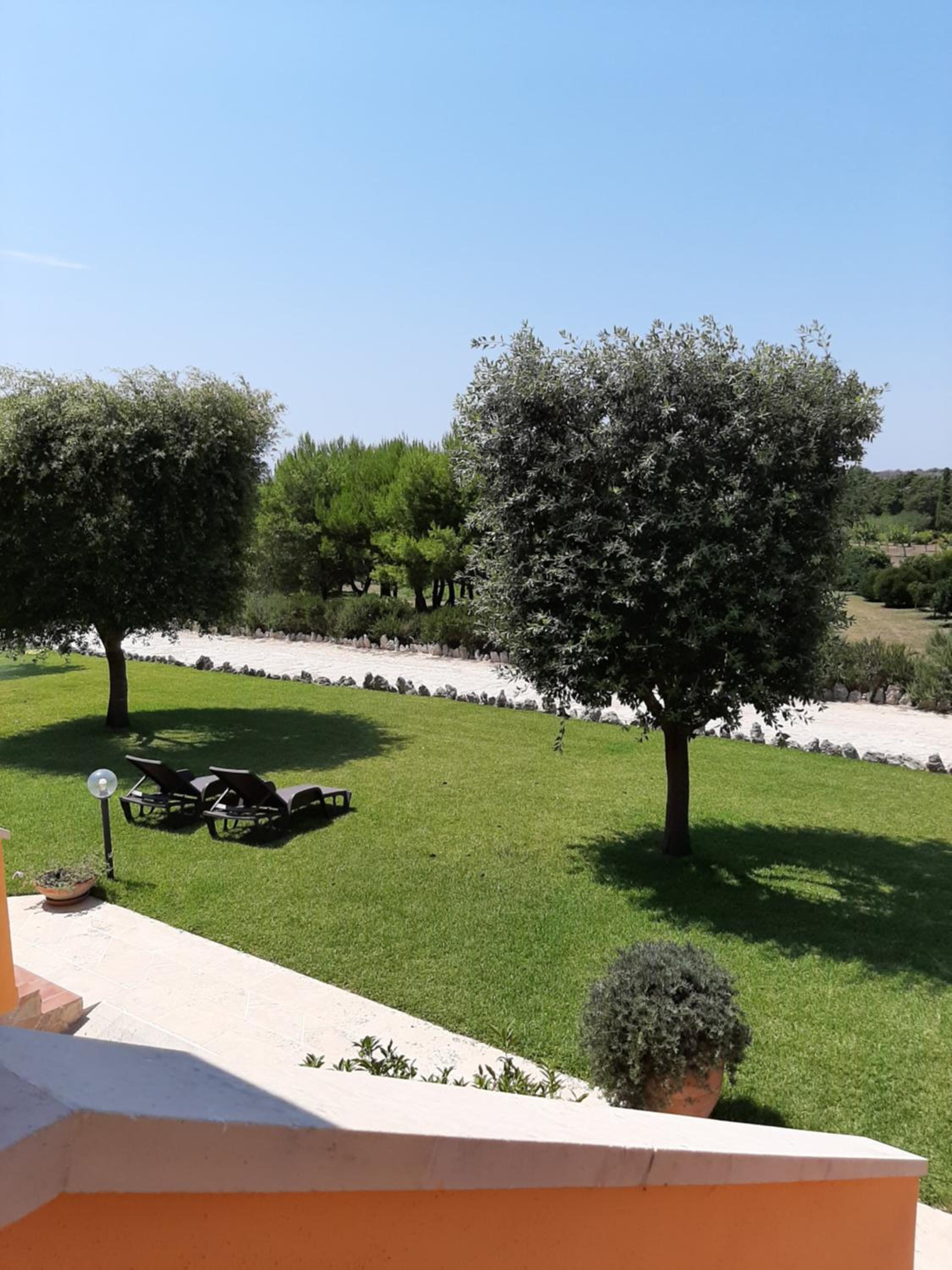 Sole del Mediterraneo