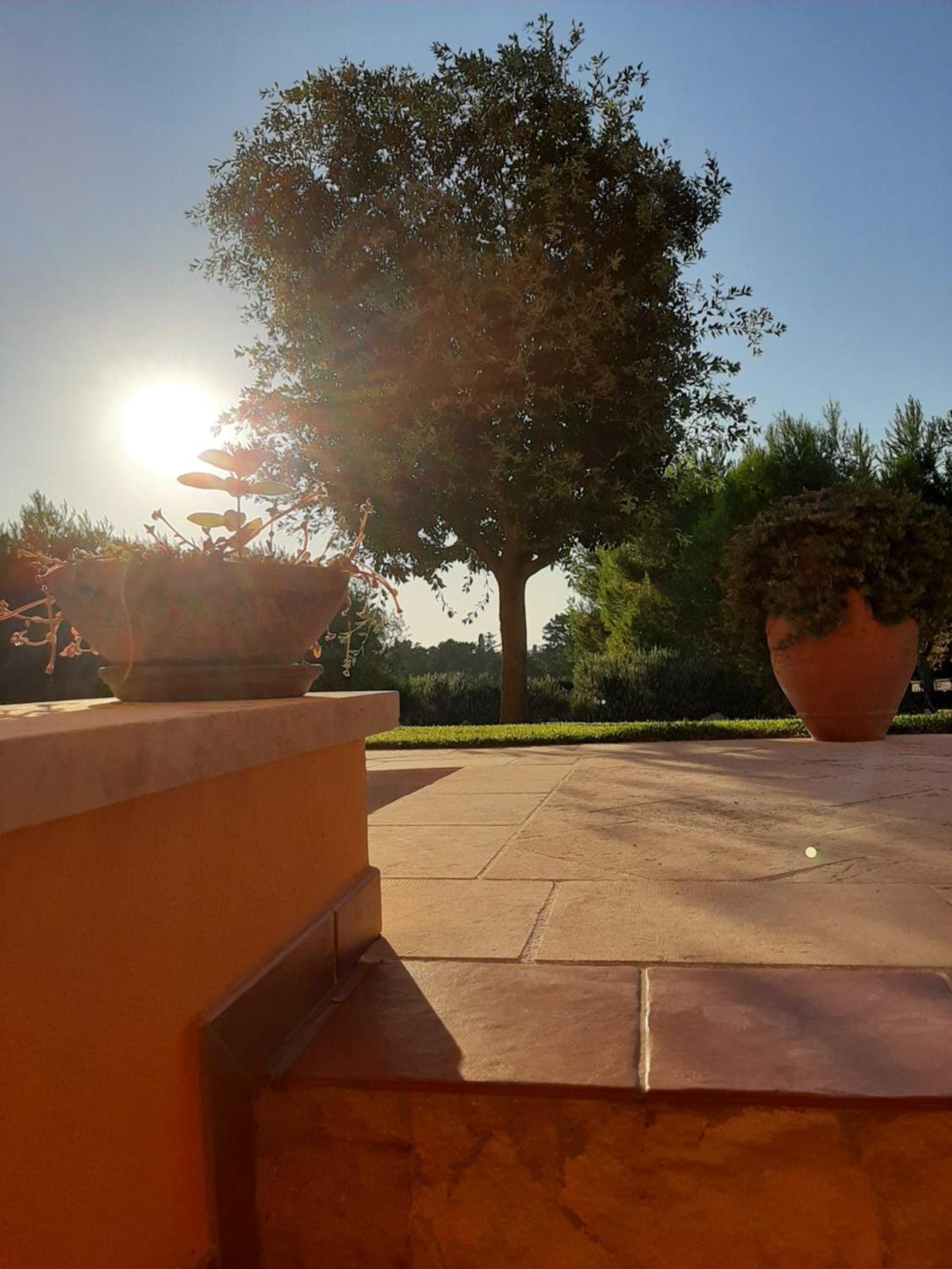 Sole del Mediterraneo