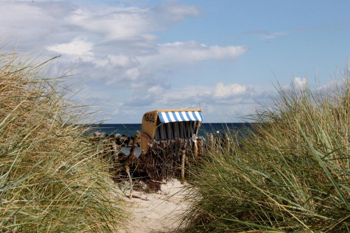 Ostsee Robbe