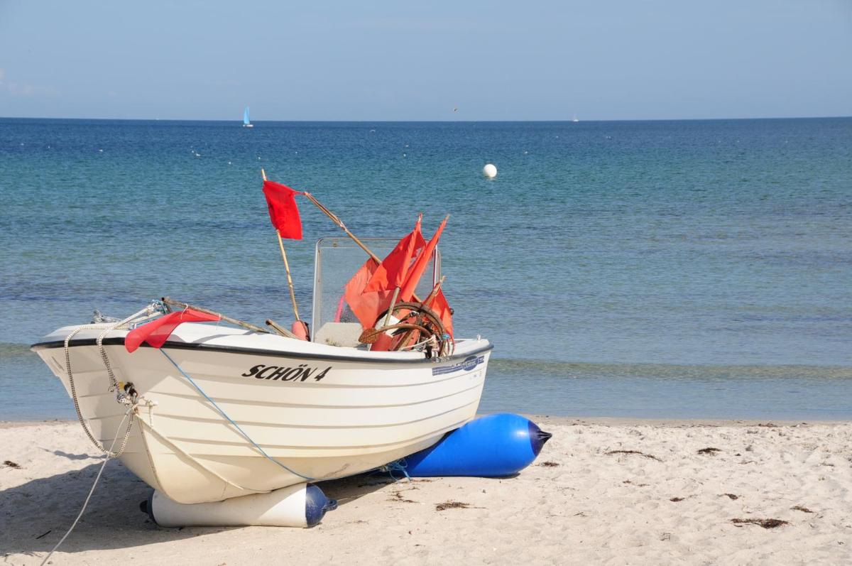 Ostsee Robbe