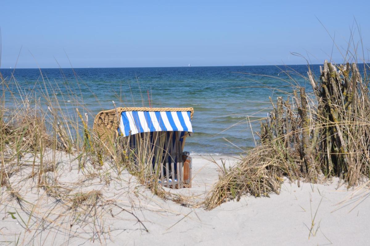 Ostsee Robbe