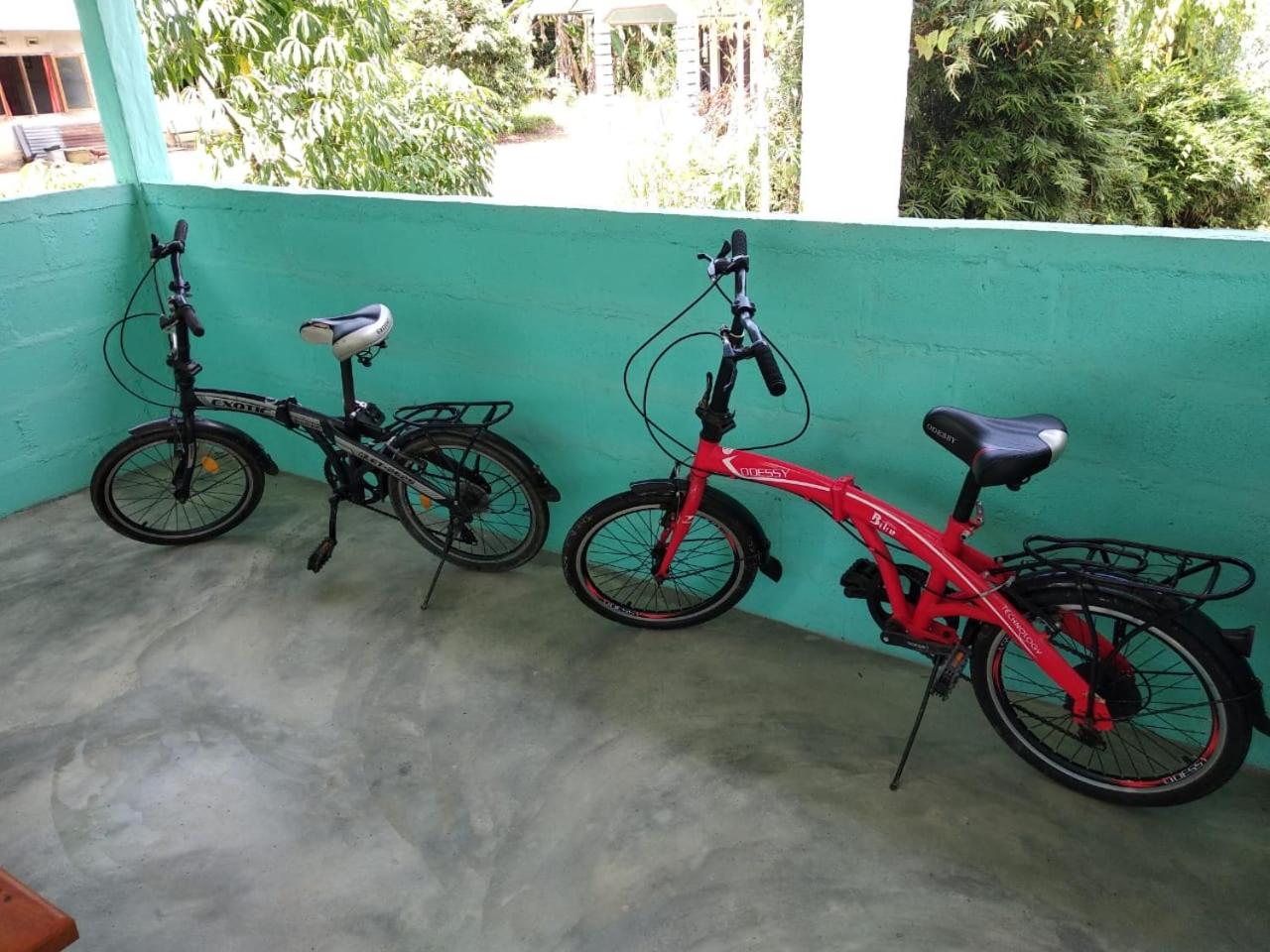 Photo 25