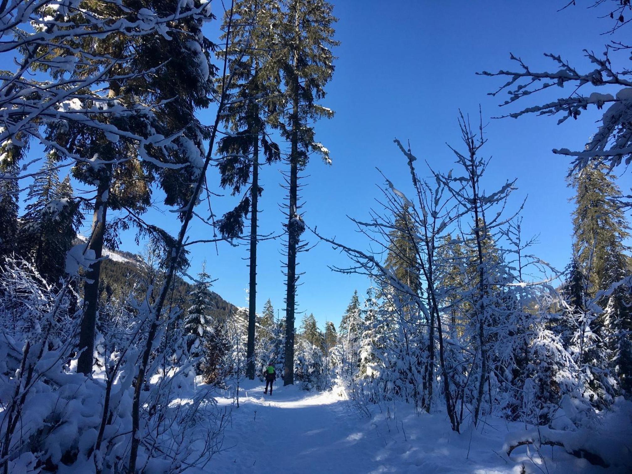 Oberrainbauer