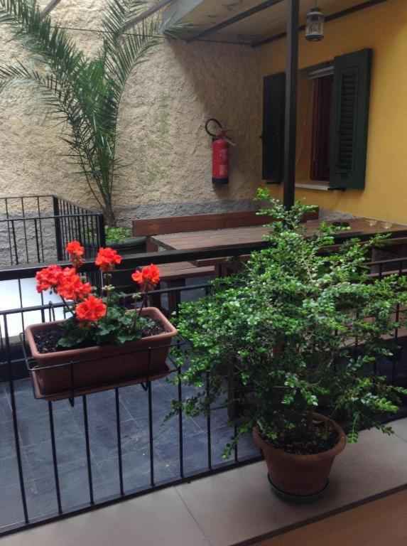 Il Patio view 3