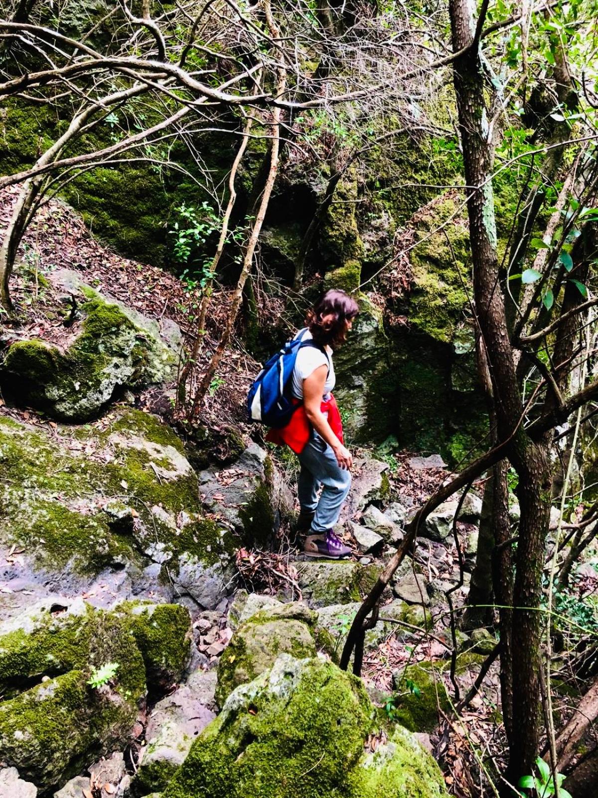 Photo 44