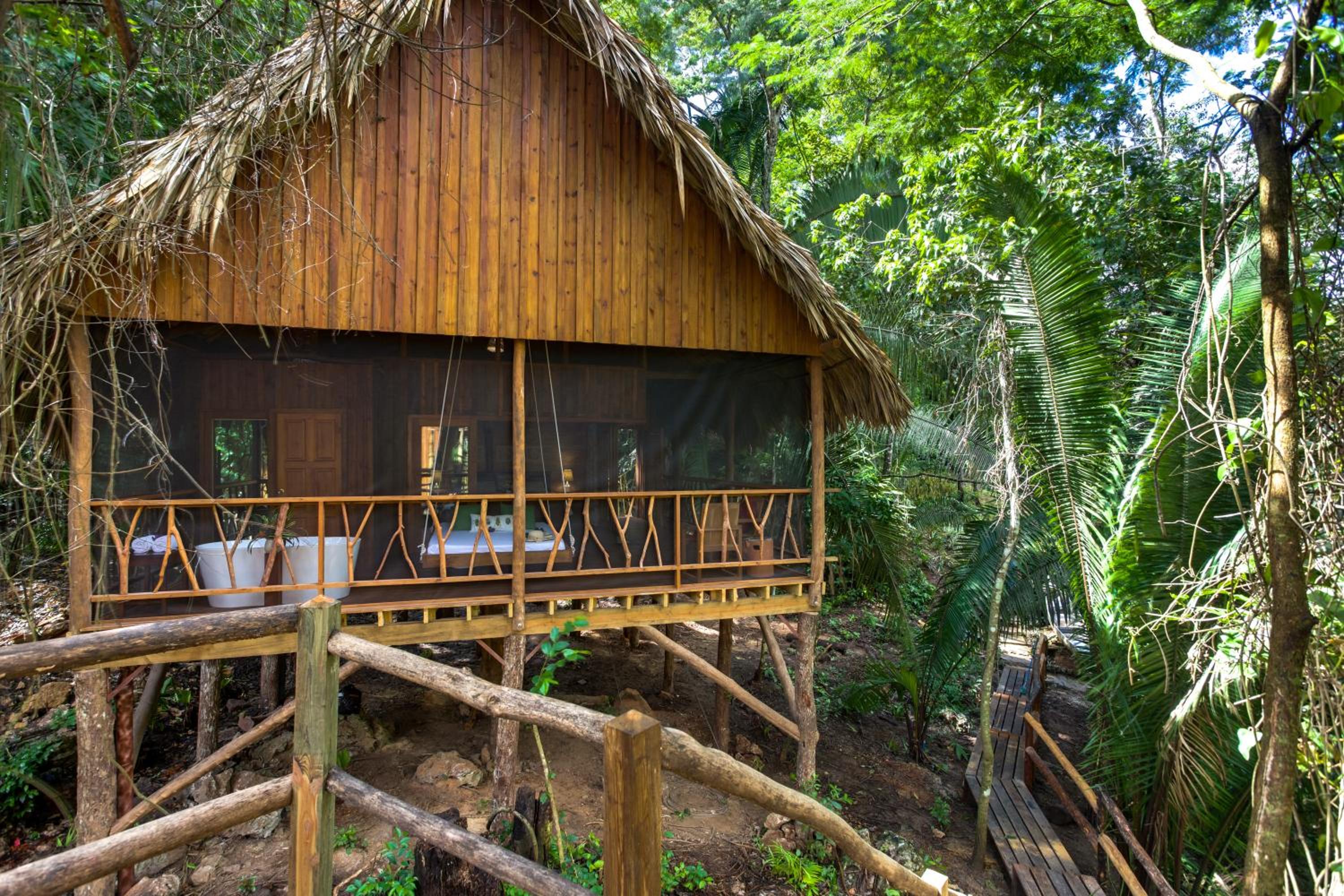 Sweet Songs Jungle Lodge