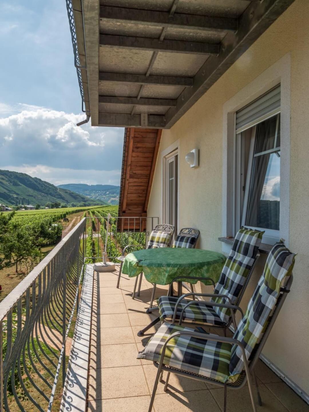 Ferienweingut Winnebeck view 5