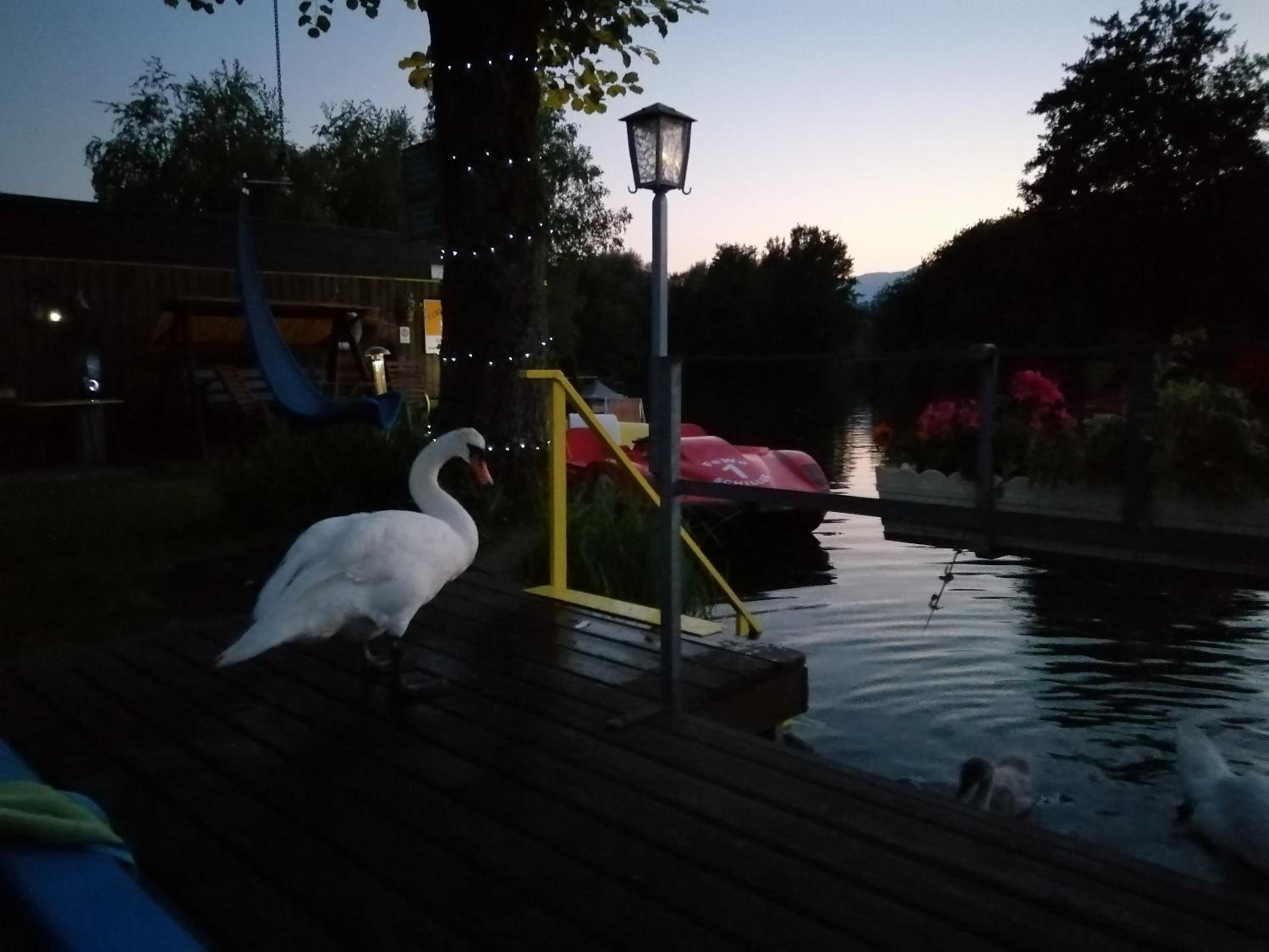 Ferienwohnungen Schiller