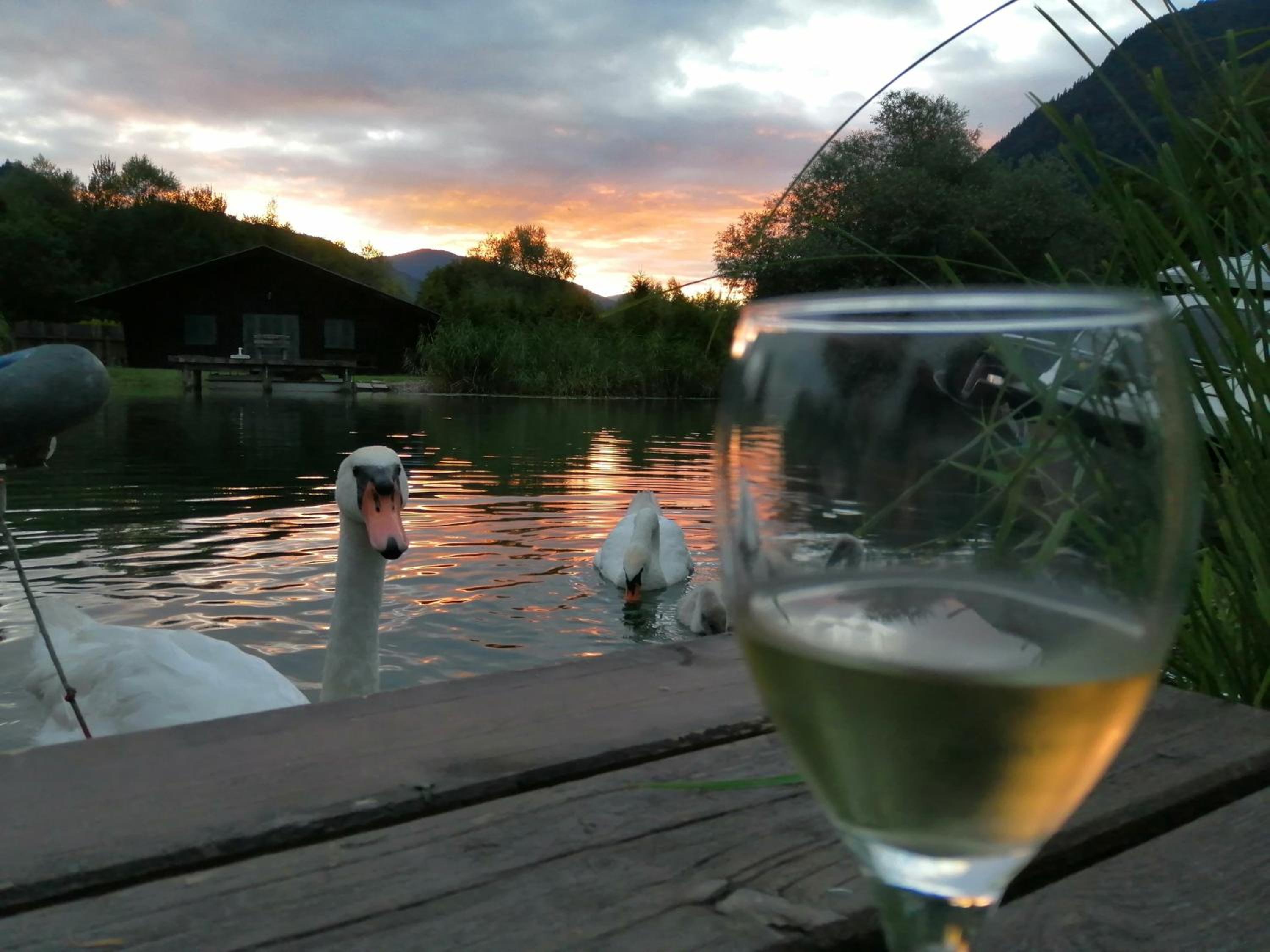 Ferienwohnungen Schiller