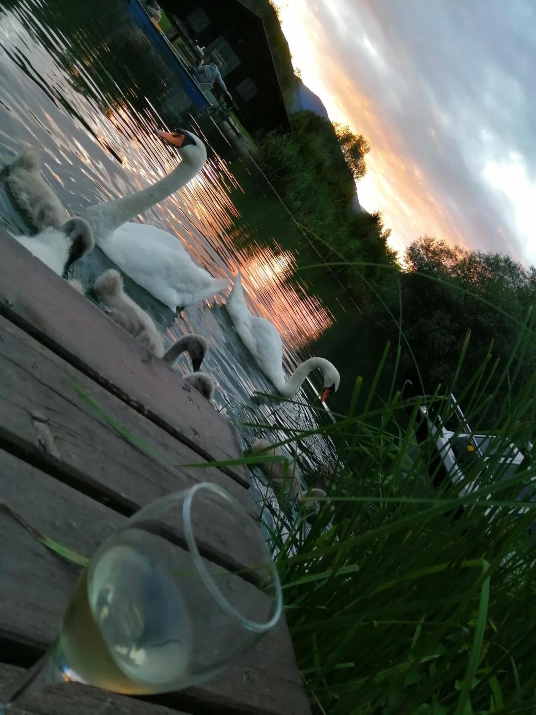 Ferienwohnungen Schiller