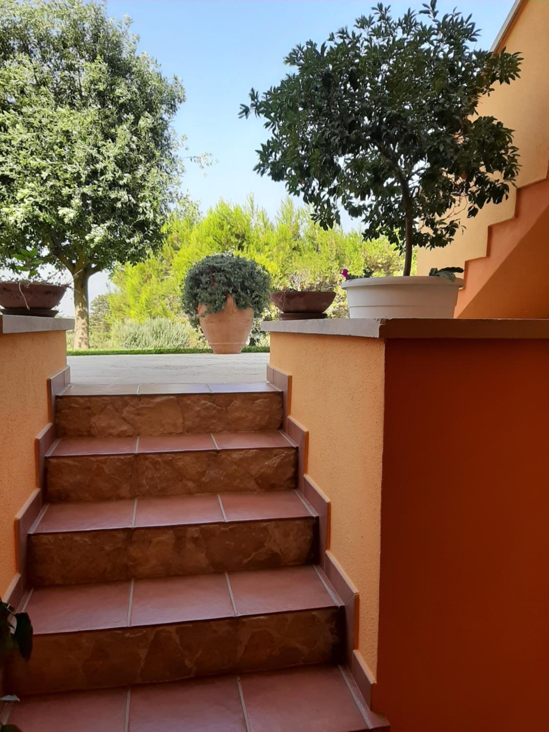 Sole del Mediterraneo