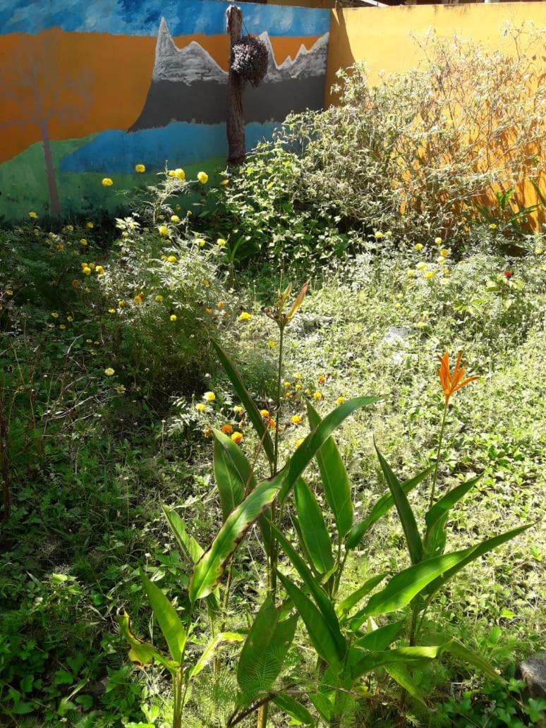 Photo 40