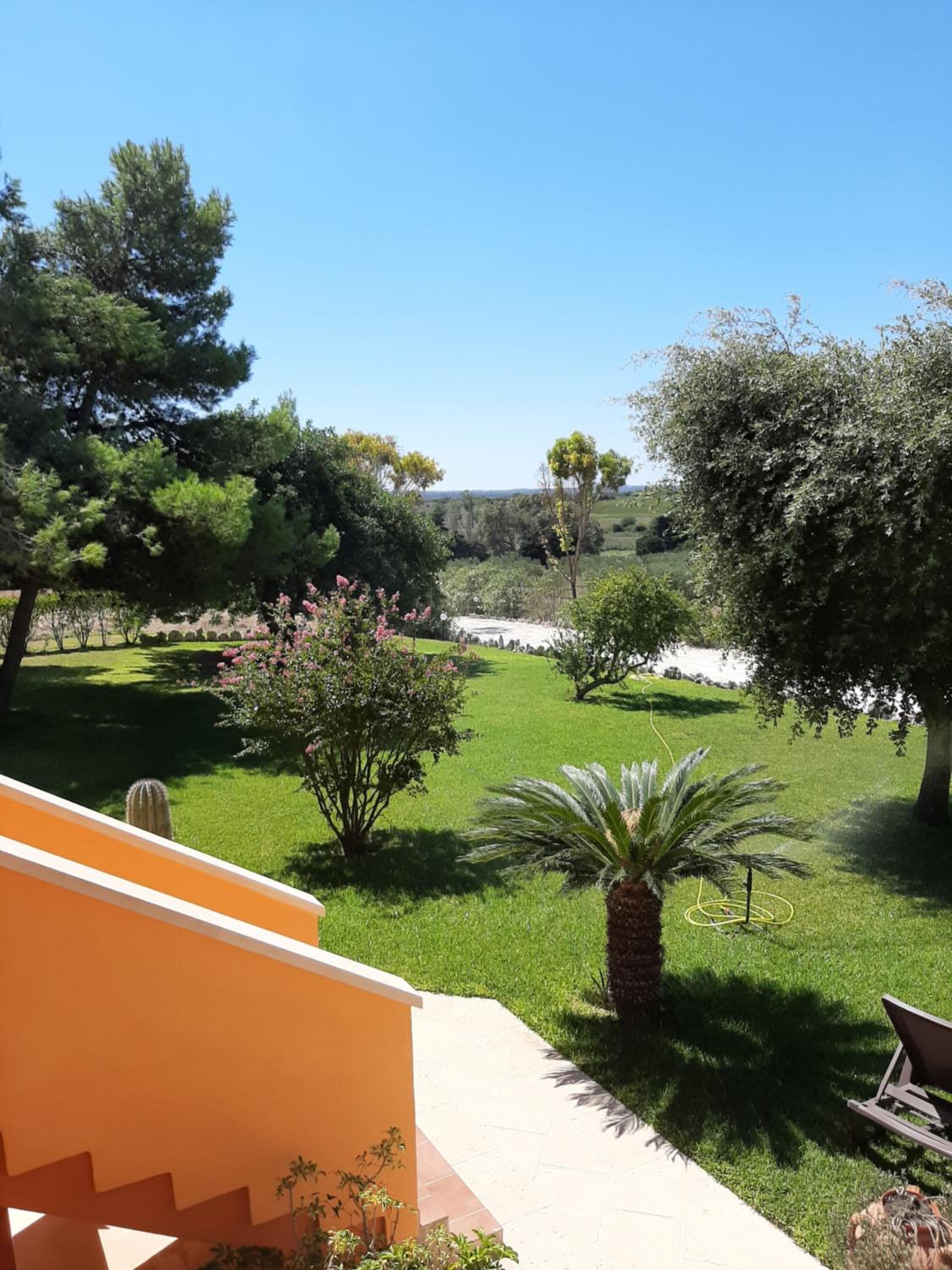 Sole del Mediterraneo