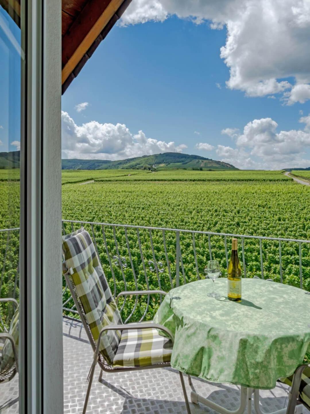 Ferienweingut Winnebeck view 3