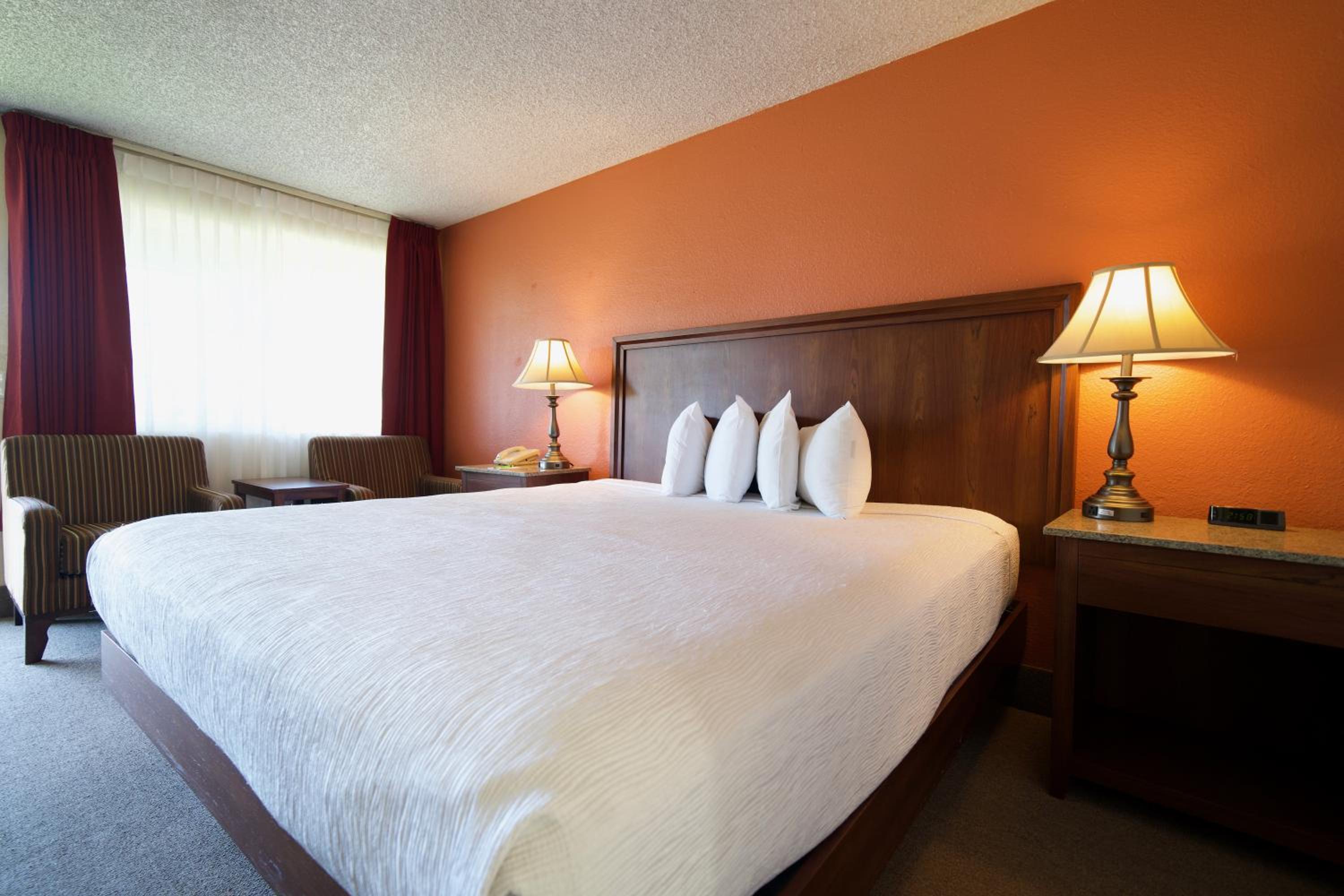 Village Inn - Image 5