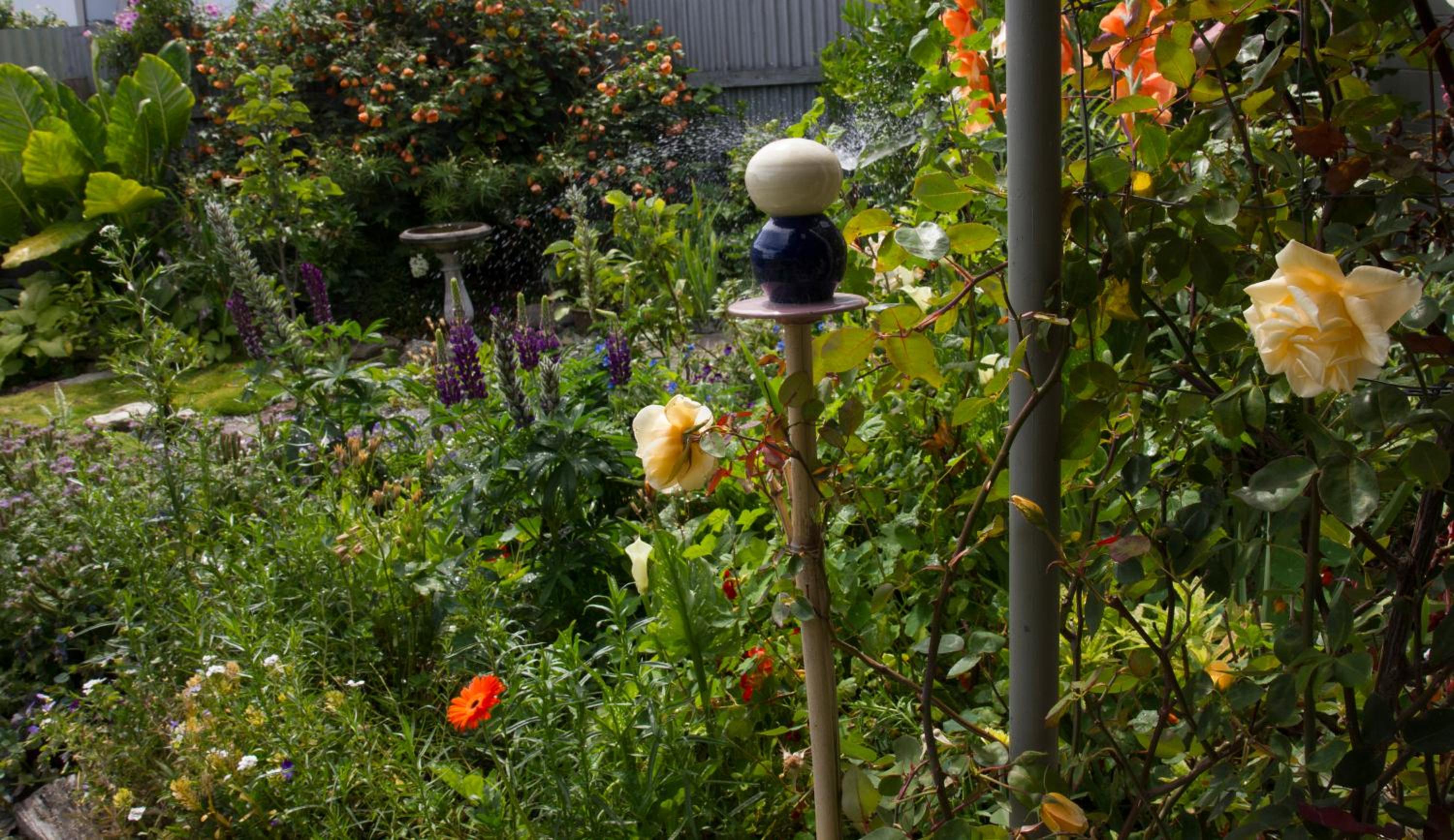 Magnolia House view 3
