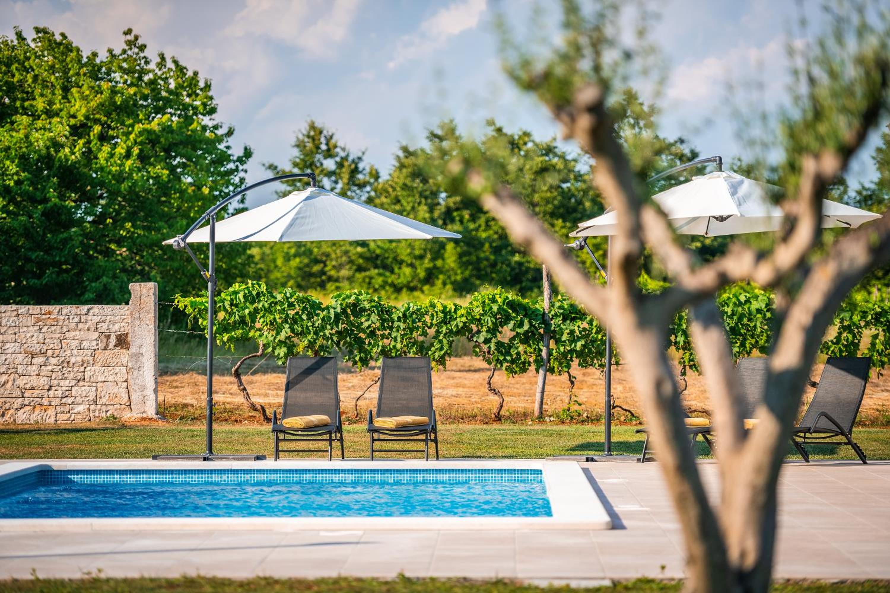 Spacious New design Villa Vitis Vitae, private pool ,1400m2 garden , Central Istria view 5